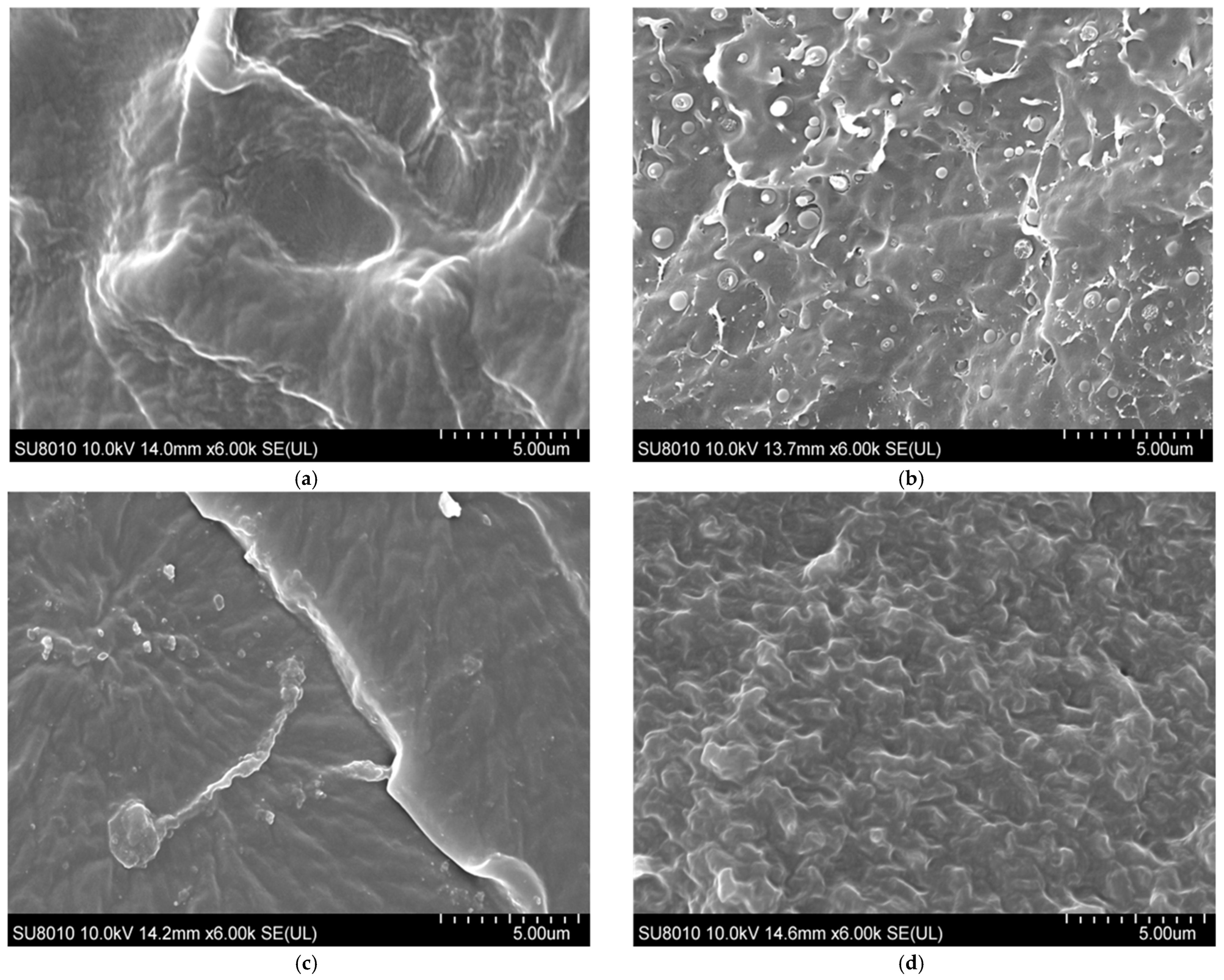Polymers 18 00386 g016 Polymers 18 00386 g016