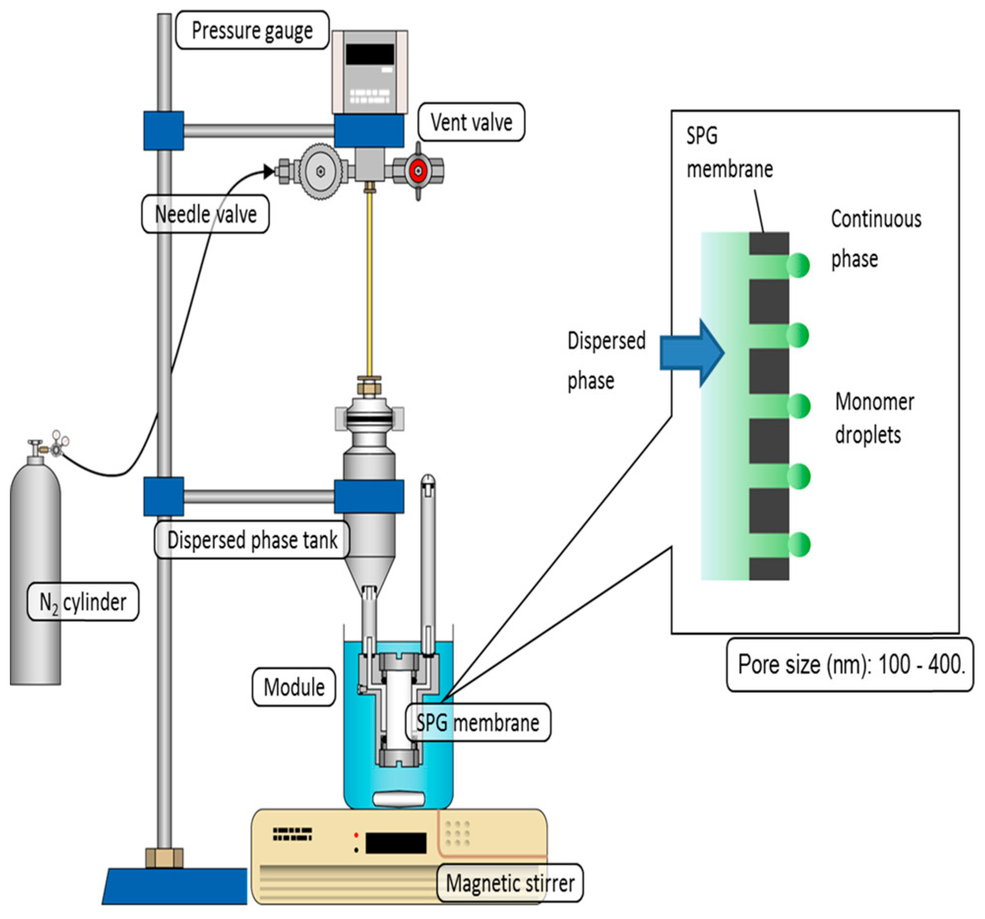 Polymers 18 00389 g001