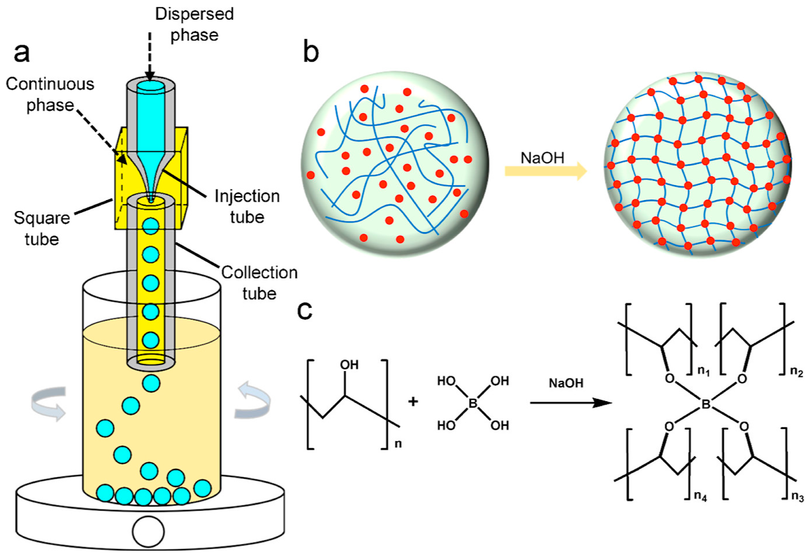 Polymers 18 00389 g002