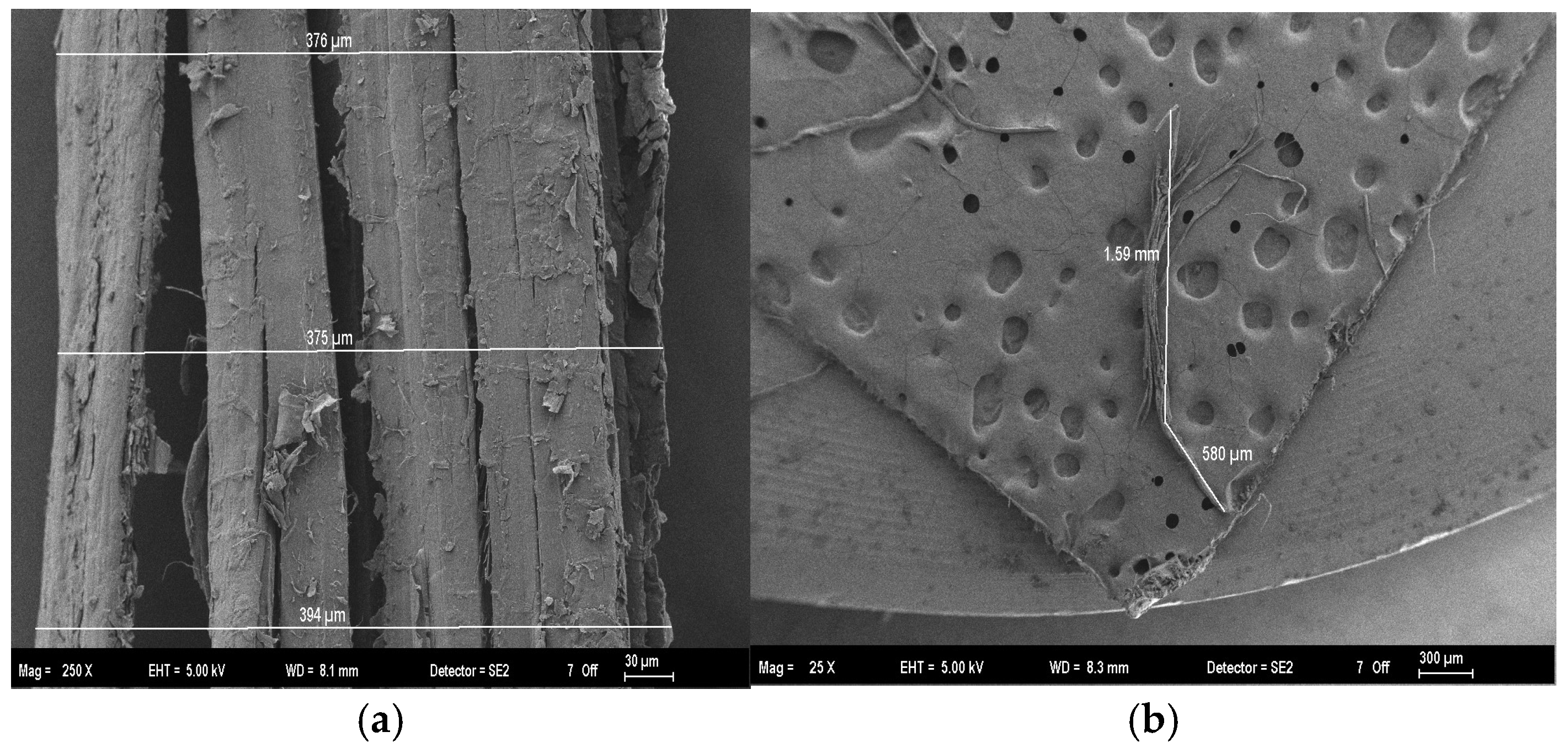 Polymers 18 00423 g002