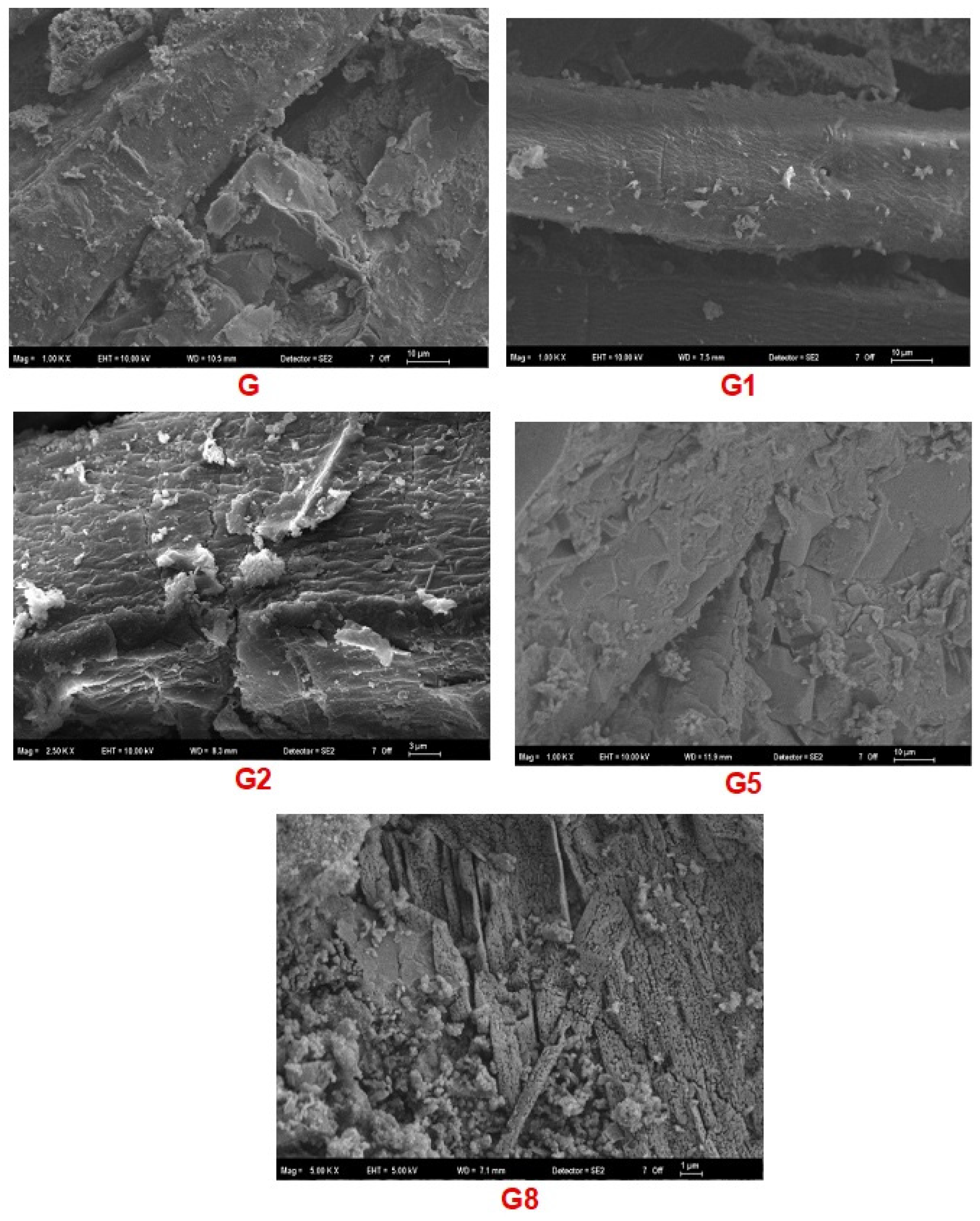 Polymers 18 00423 g010