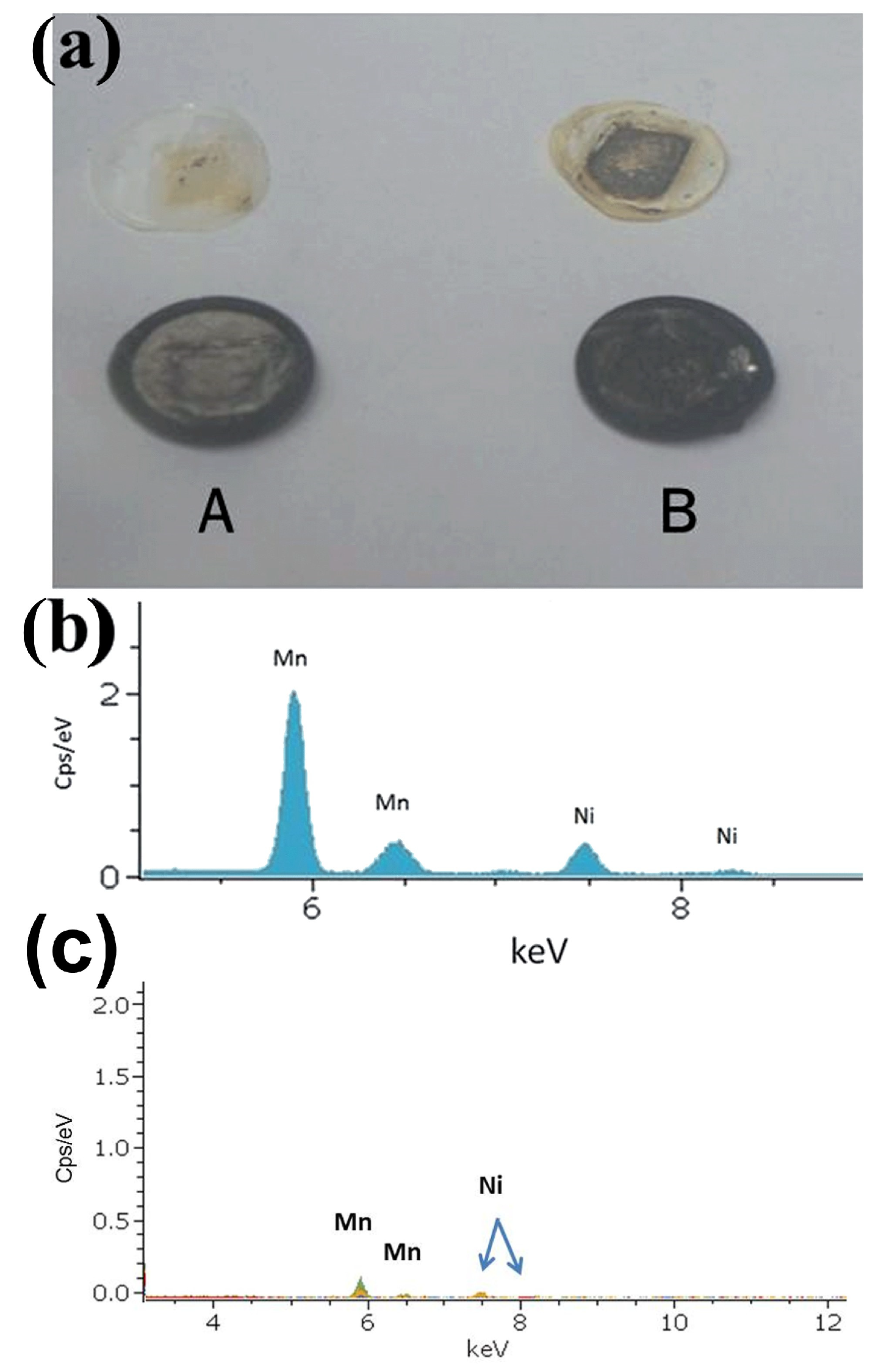 Polymers 18 00429 g003