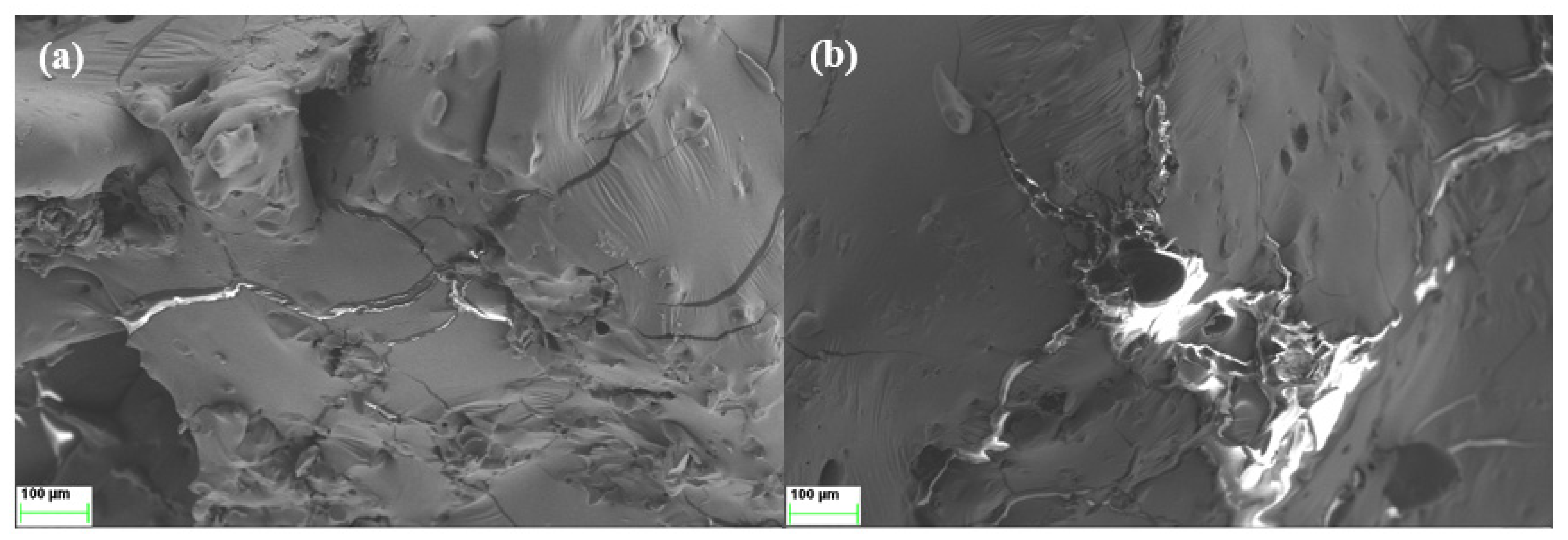 Polymers 18 00446 g007 Polymers 18 00446 g007