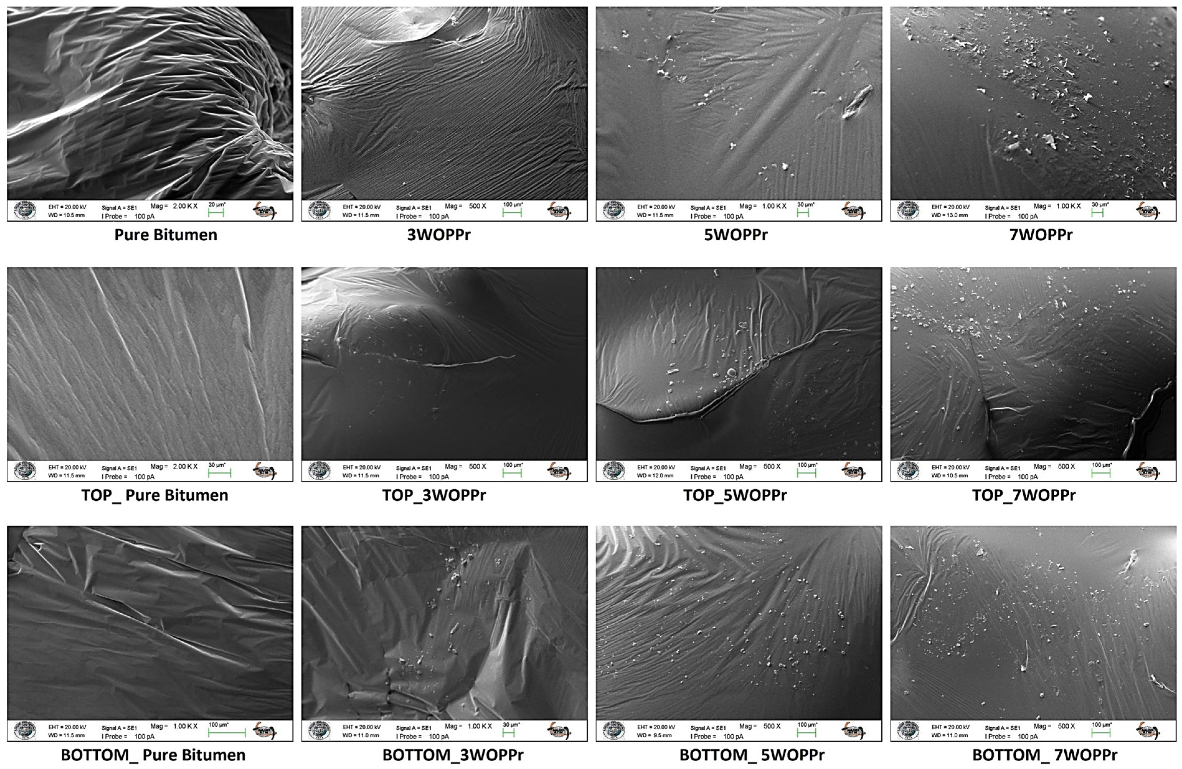 Polymers 18 00475 g007 Polymers 18 00475 g007