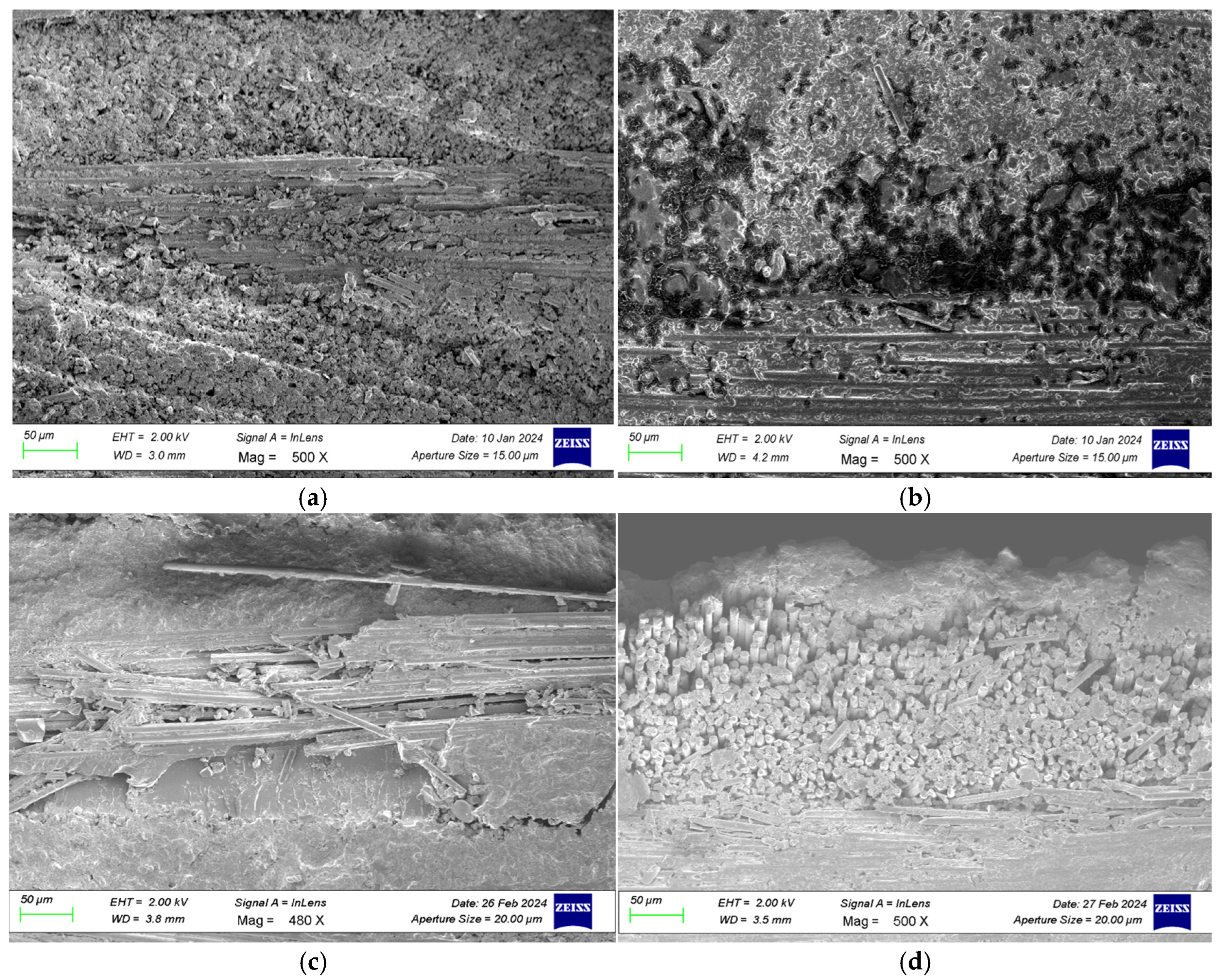 Polymers 18 00481 g029
