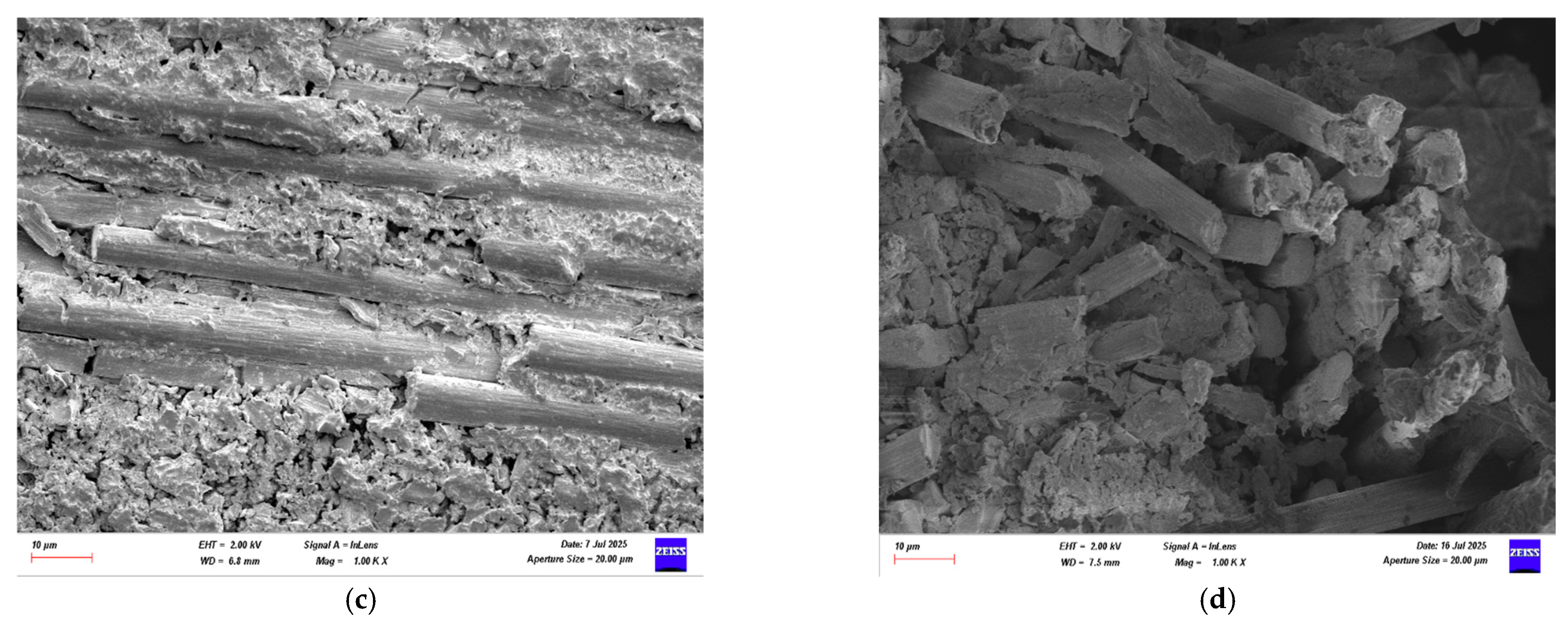 Polymers 18 00481 g031b