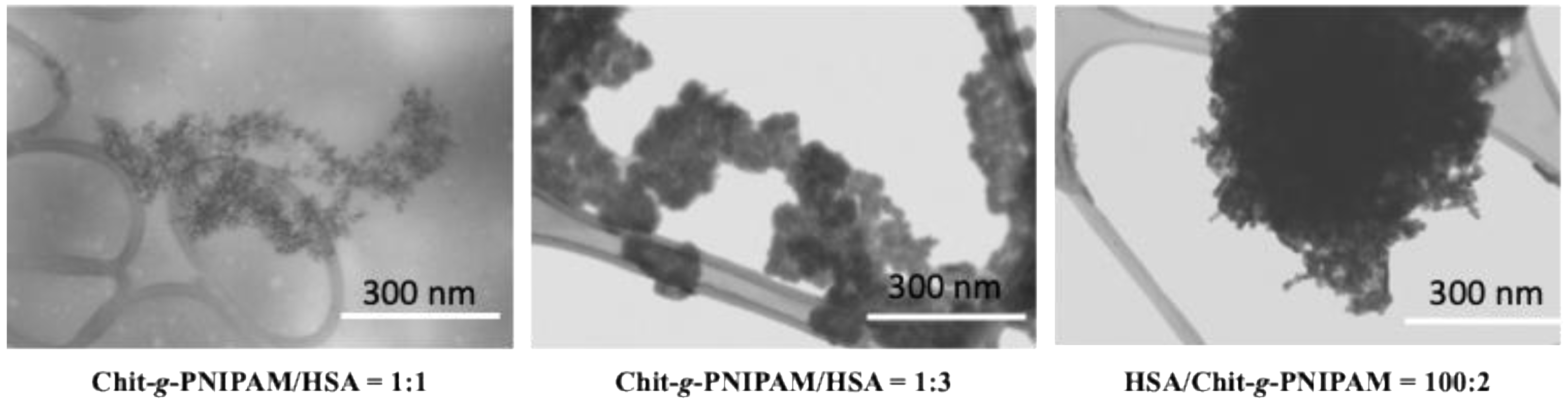 Polymers 18 00515 g008