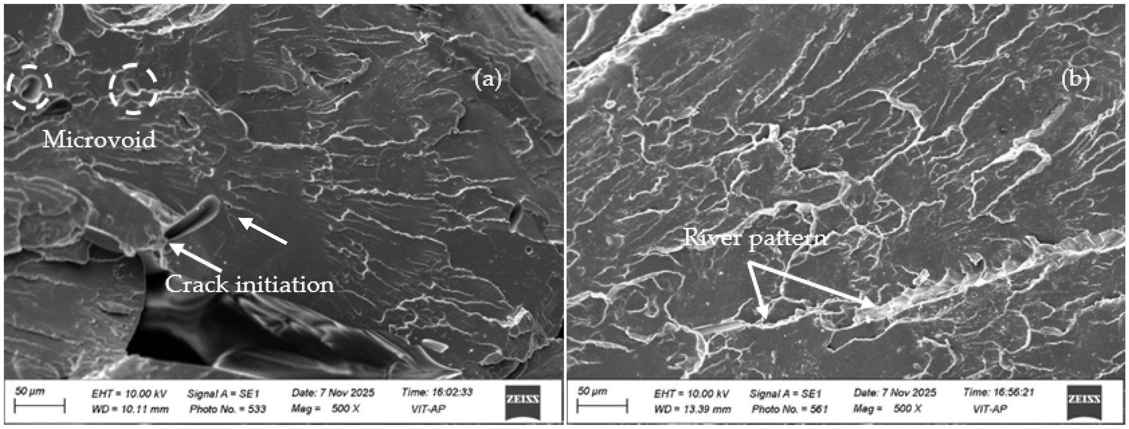 Polymers 18 00527 g005