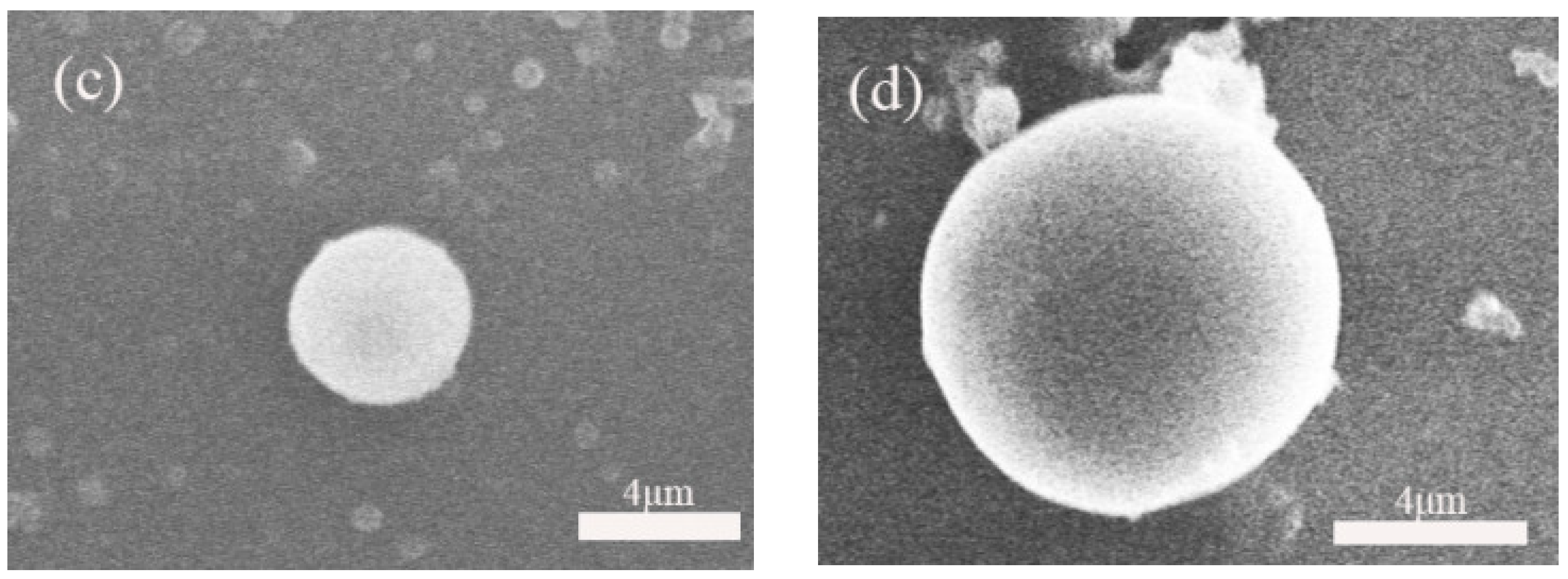 Polymers 18 00541 g002b