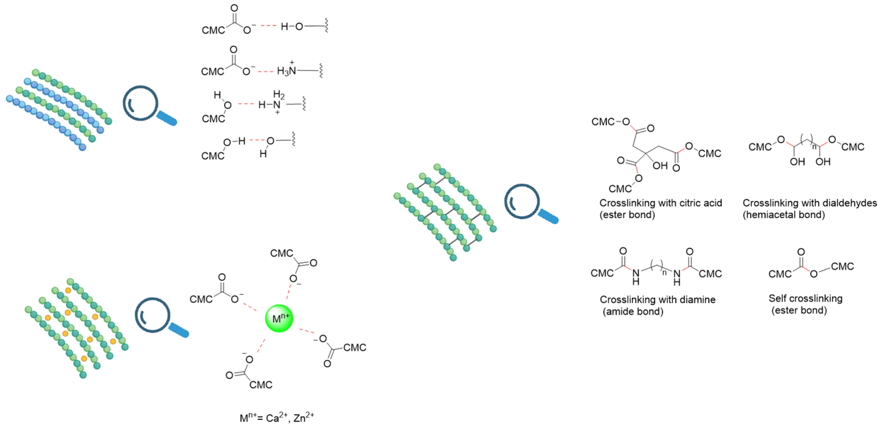 Polymers 18 00552 g002 Polymers 18 00552 g002
