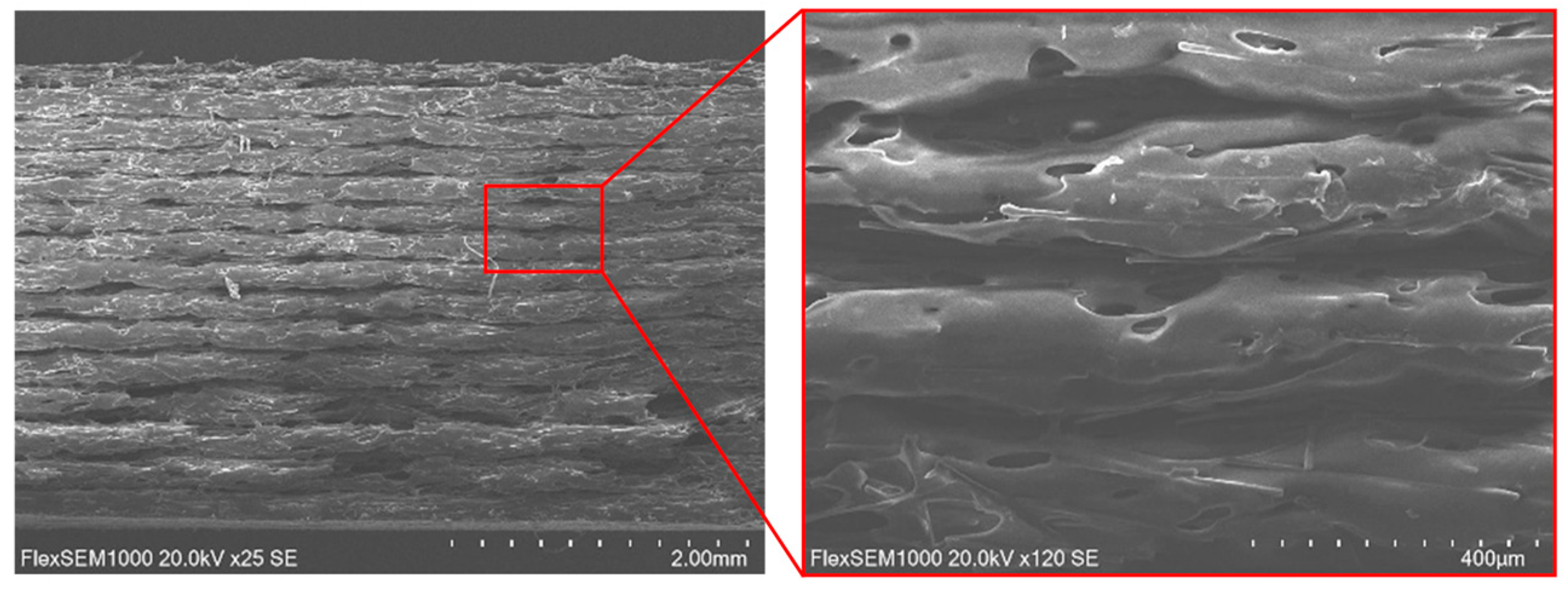 Polymers 18 00563 g008 Polymers 18 00563 g008