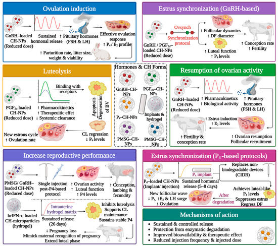glutathione rectal implant Harnessing the Biological Responses Induced by Nanomaterials for Enhanced  Cancer Therapy - Wang - 2025 - Aggregate main image 0