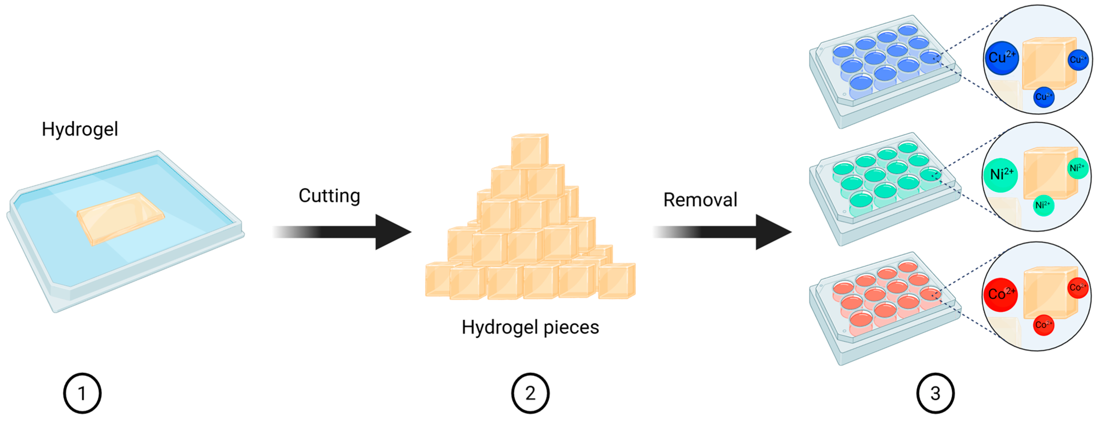 Polymers 18 00633 g004 Polymers 18 00633 g004