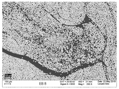 Polymers 18 00637 i001 Polymers 18 00637 i001