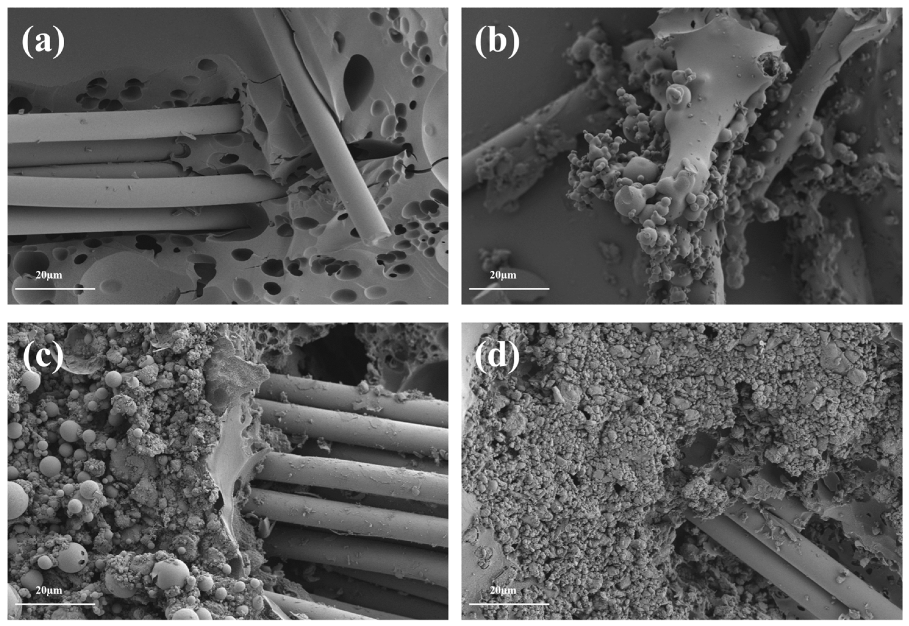 Polymers 18 00659 g007 Polymers 18 00659 g007