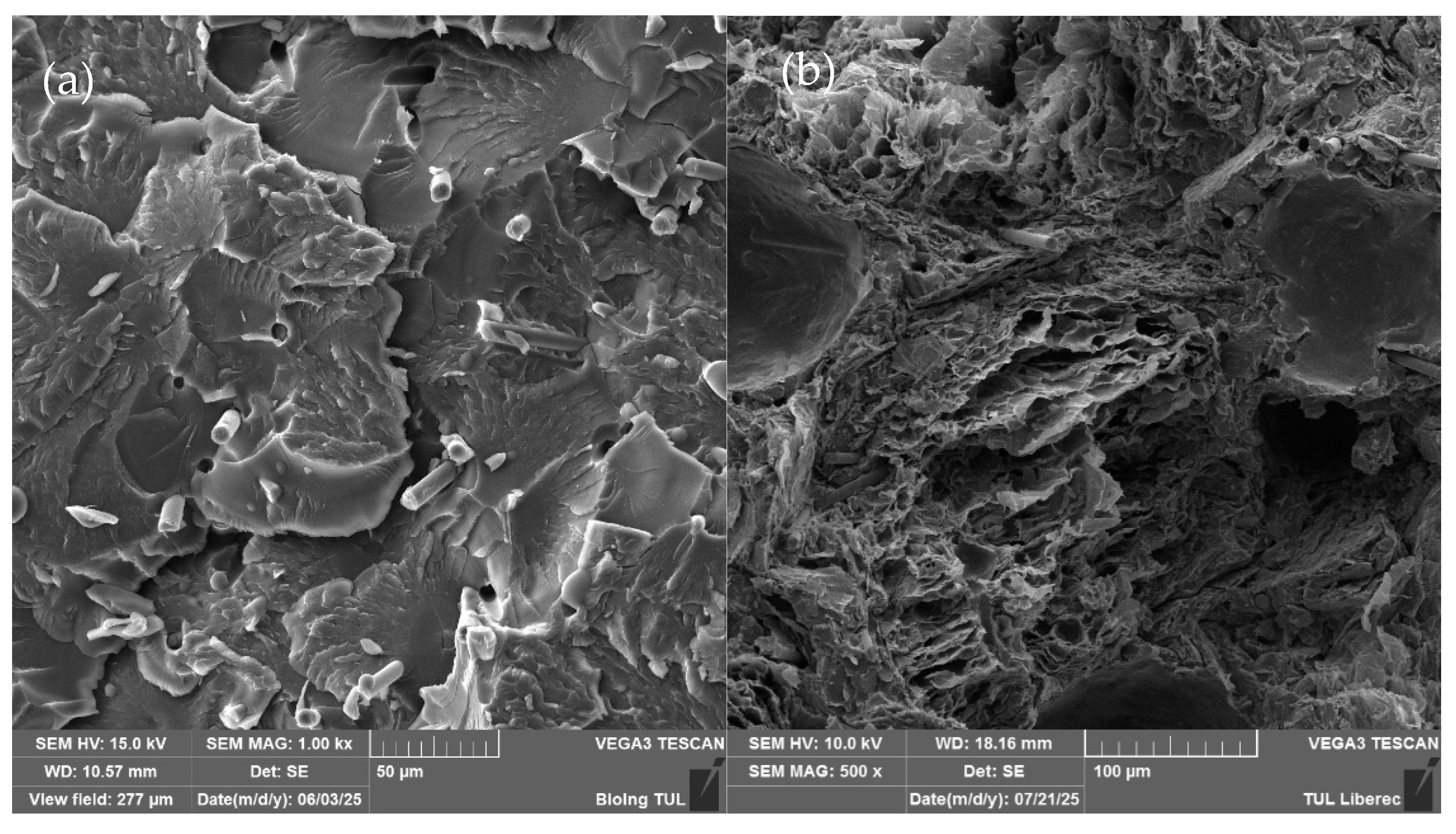 Polymers 18 00731 g003a Polymers 18 00731 g003a