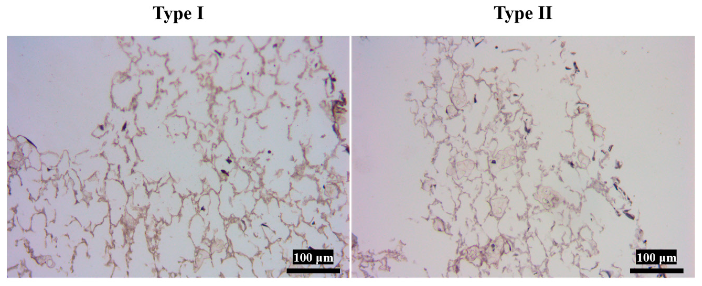 Polymers 18 00774 g006