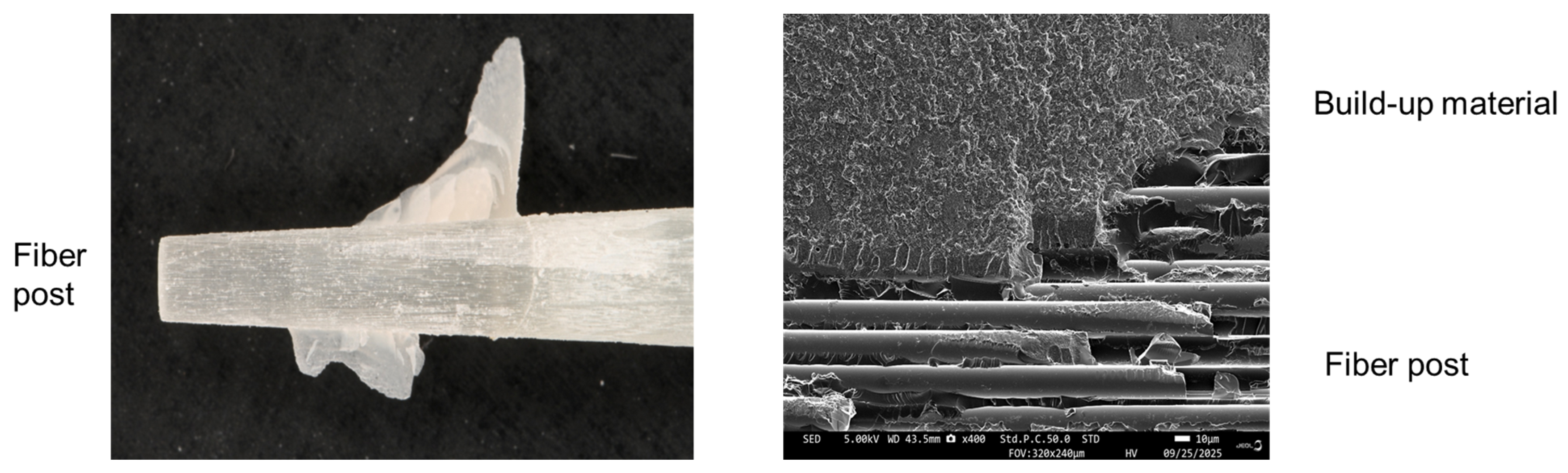 Polymers 18 00810 g002 Polymers 18 00810 g002