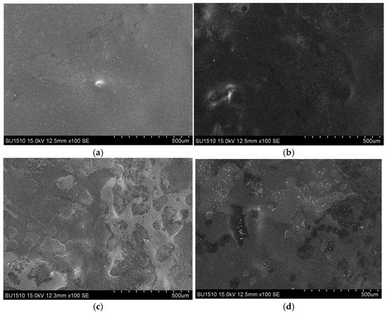 Influence of Rapana venosa Protein Hydrolysate on the Mechanical