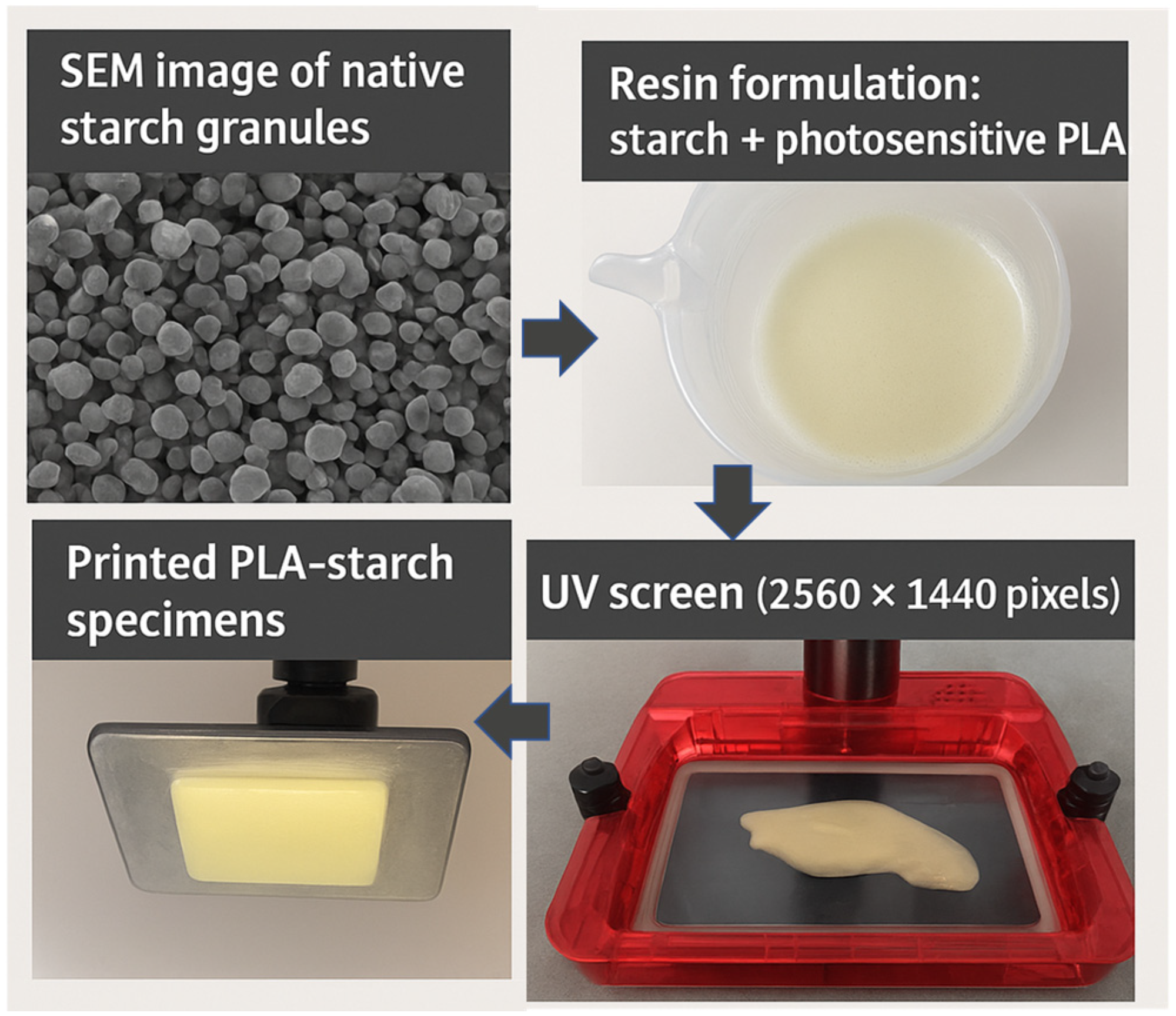 Polymers 18 00836 g001