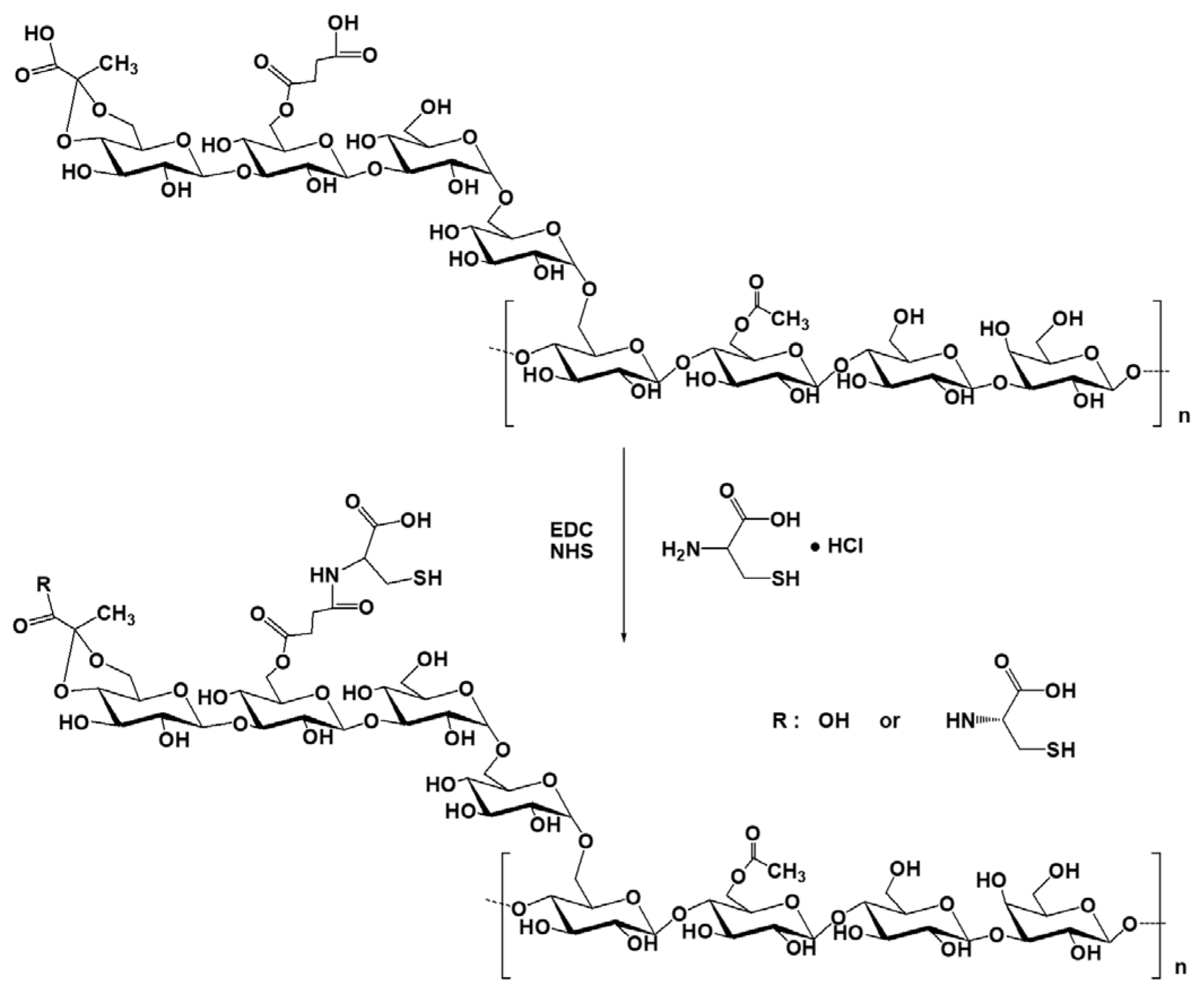 Polymers 18 00849 g001 Polymers 18 00849 g001