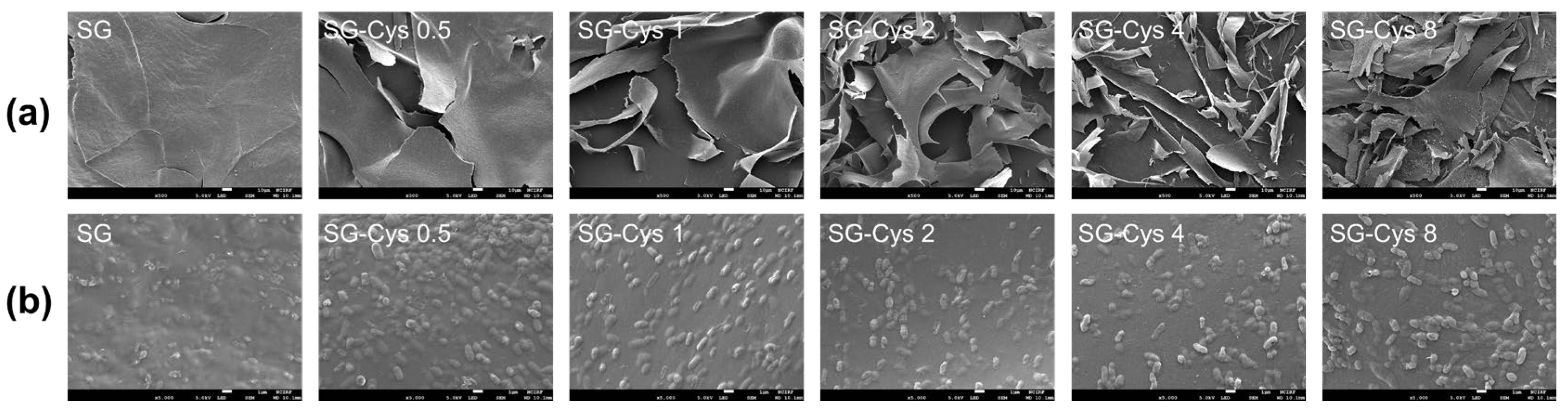 Polymers 18 00849 g006 Polymers 18 00849 g006