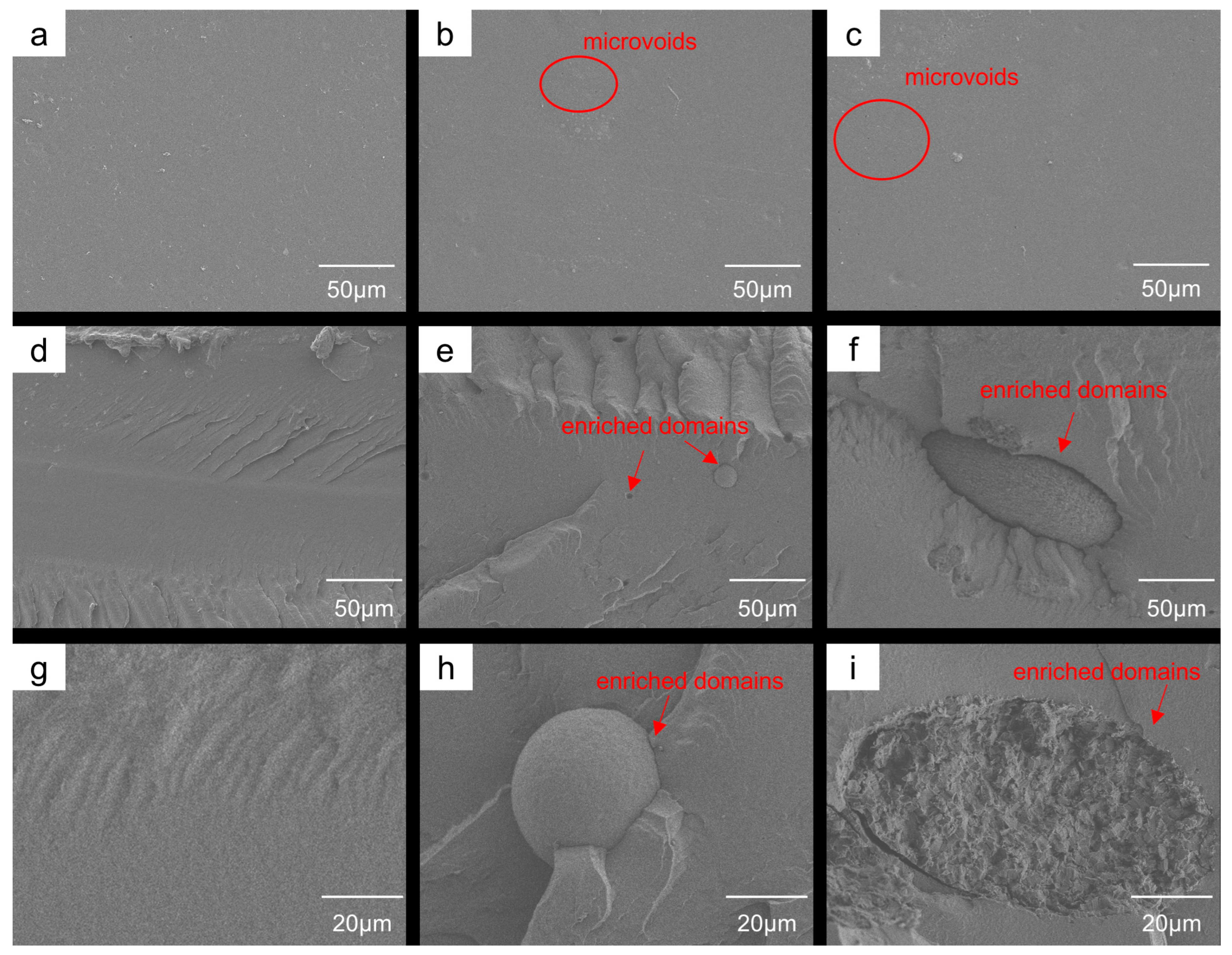 Polymers 18 00875 g004 Polymers 18 00875 g004