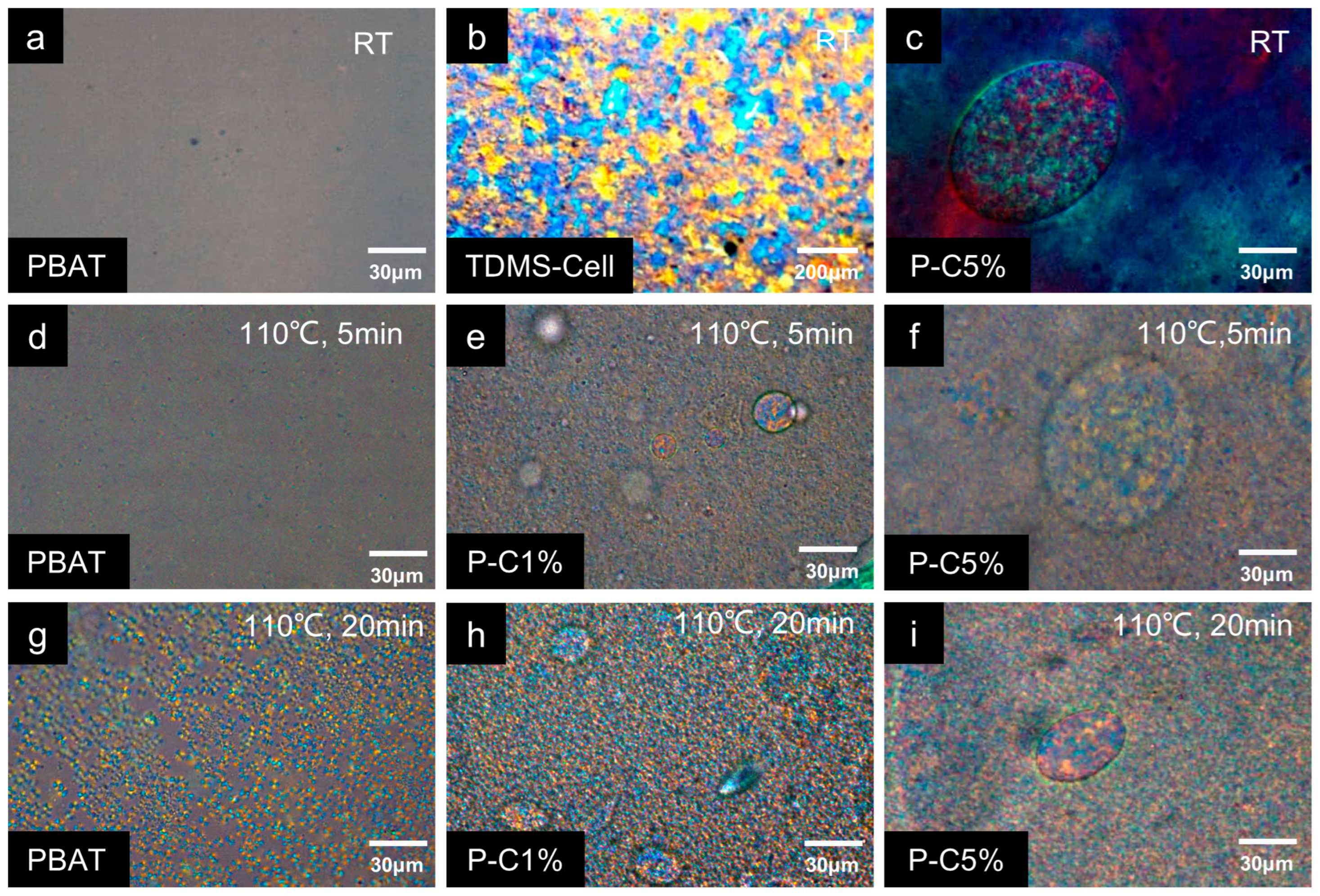 Polymers 18 00875 g006 Polymers 18 00875 g006