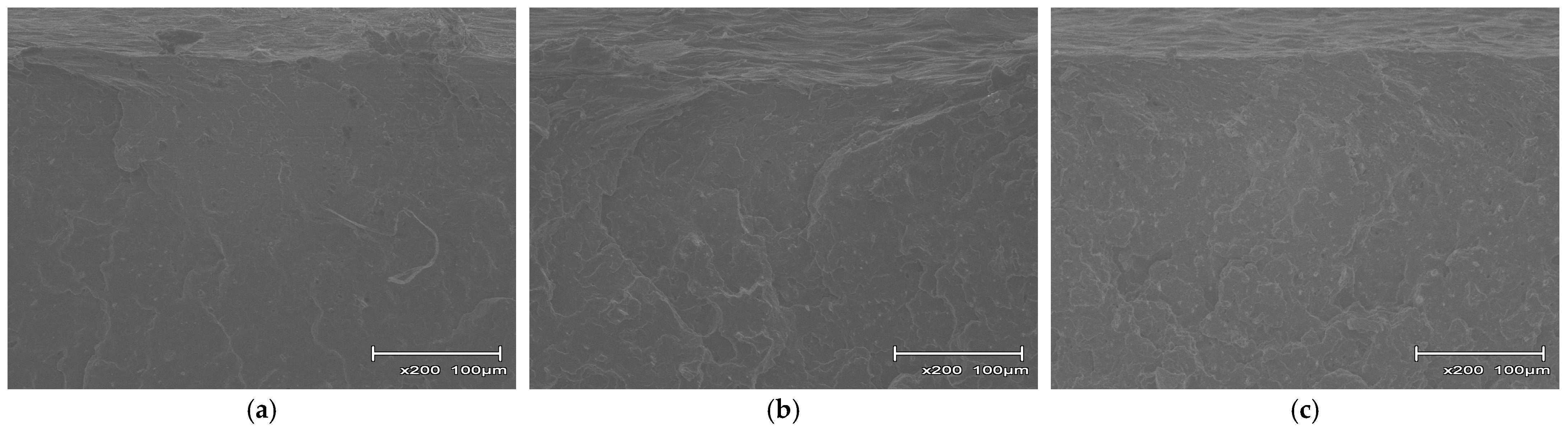 Polymers 18 00917 g013