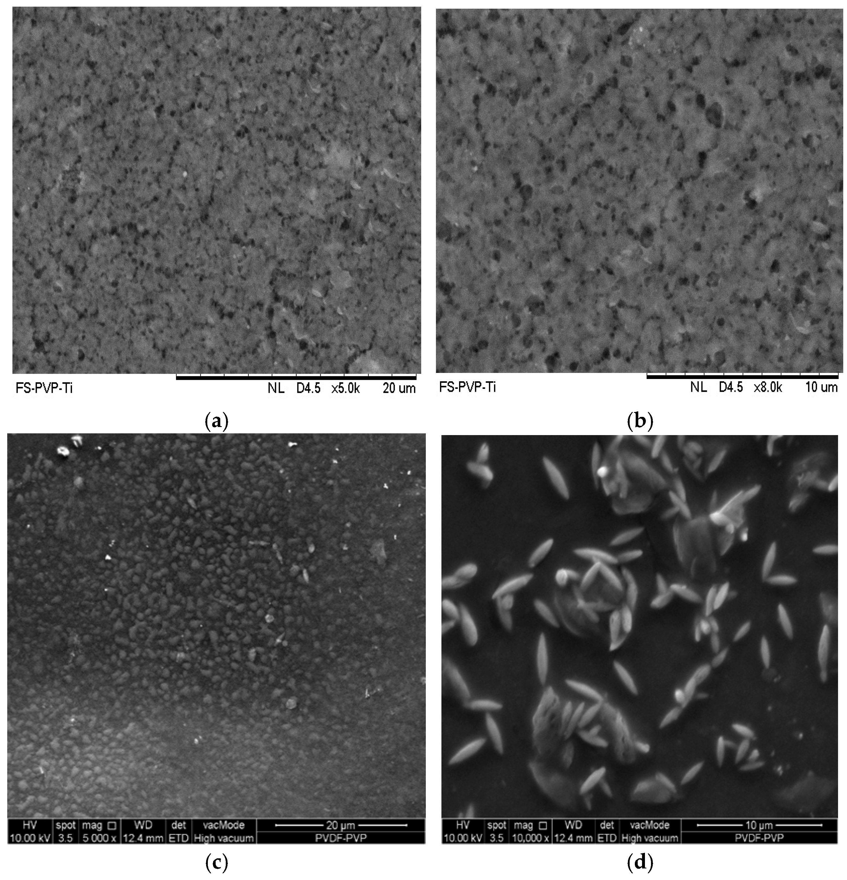 Polymers 18 00925 g002