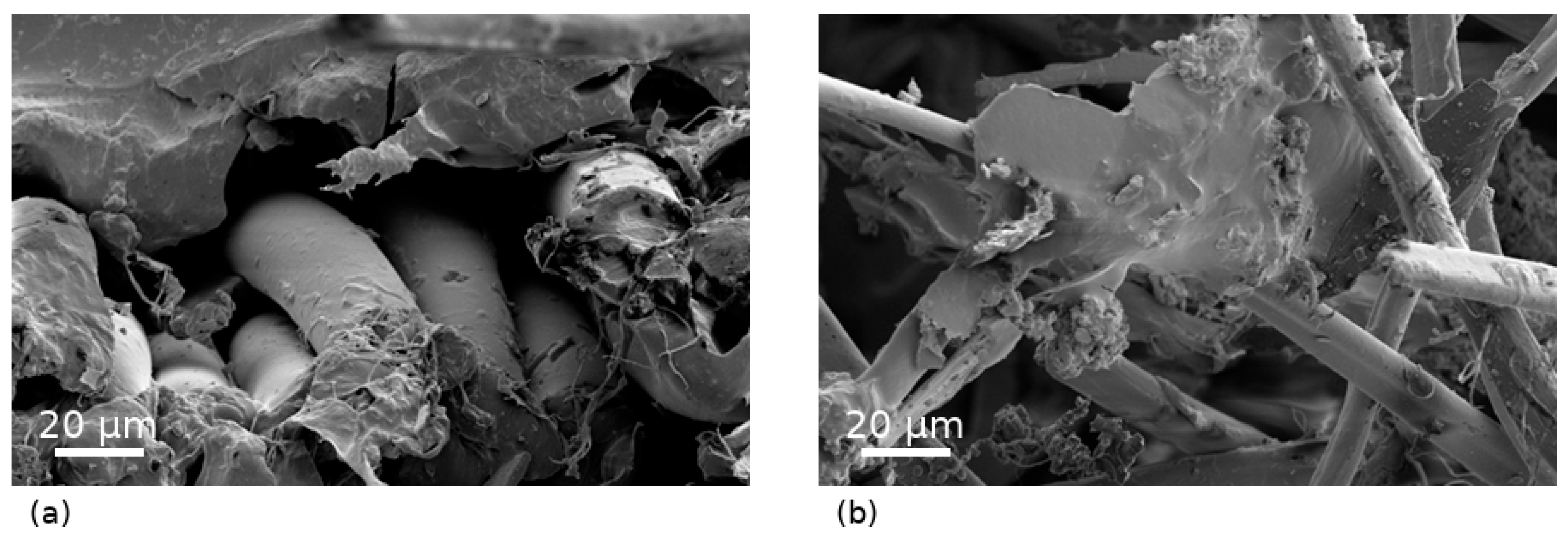 Polymers 18 00931 g007