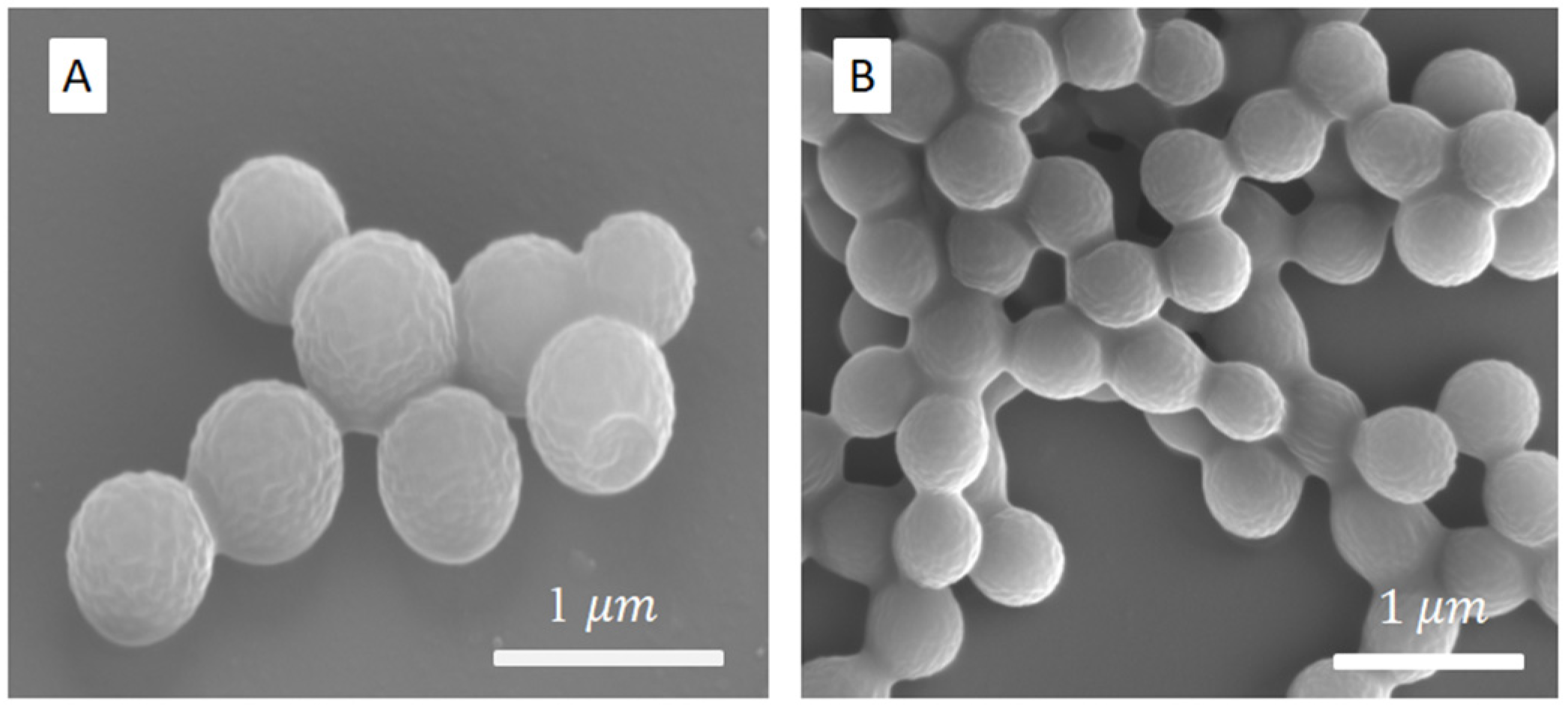 Polymers 18 00942 g002