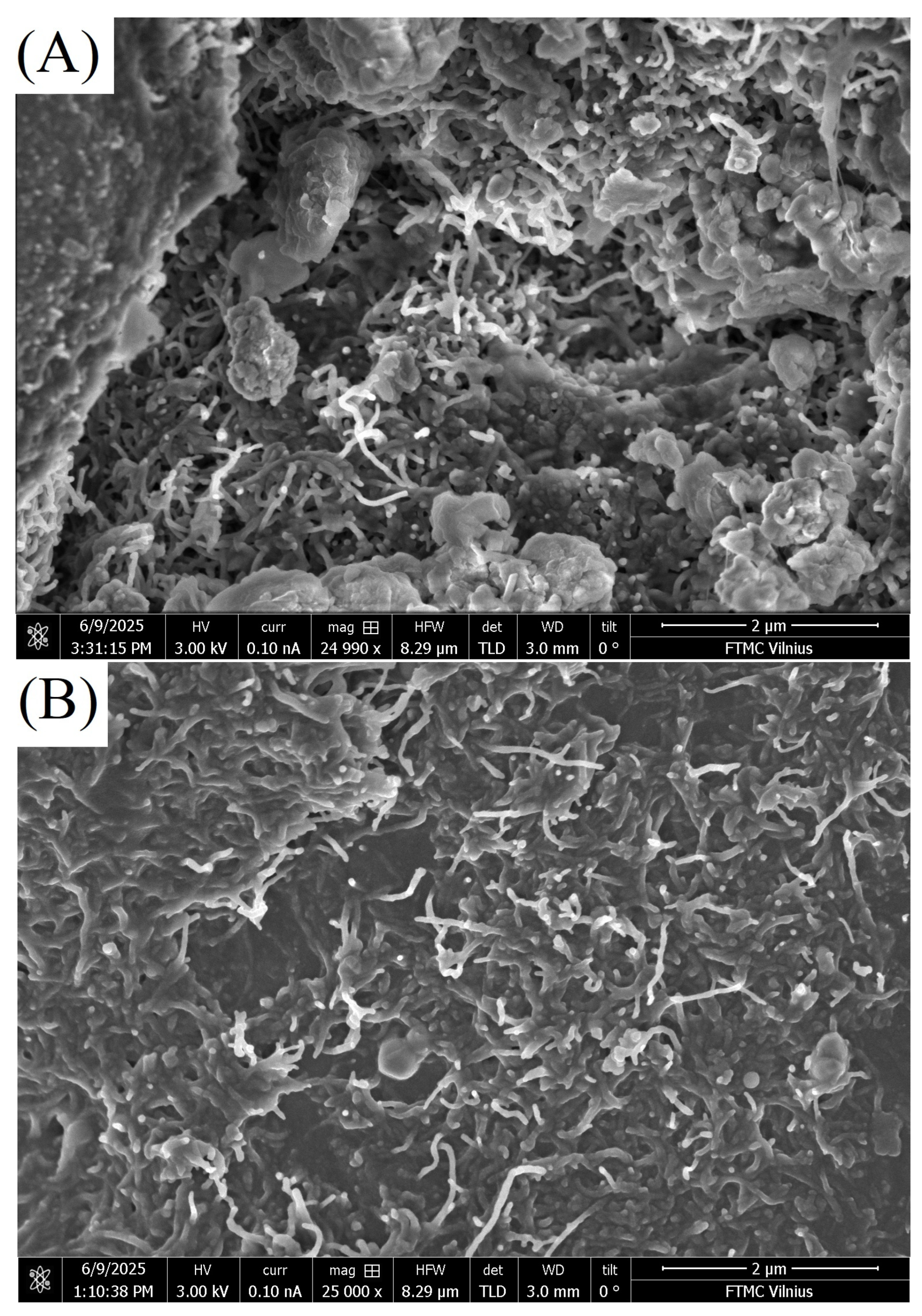 Polymers 18 00944 g002a