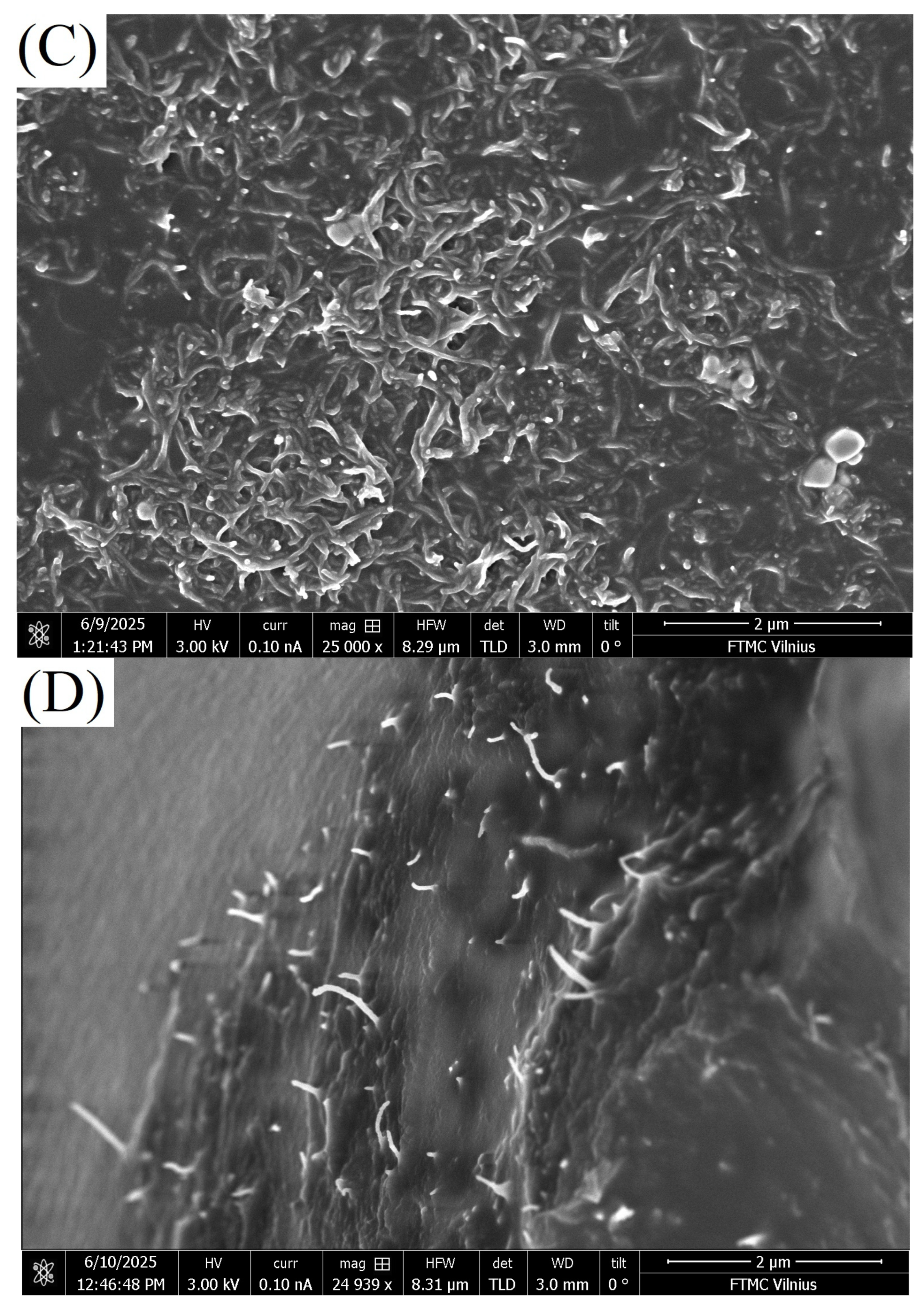 Polymers 18 00944 g002b