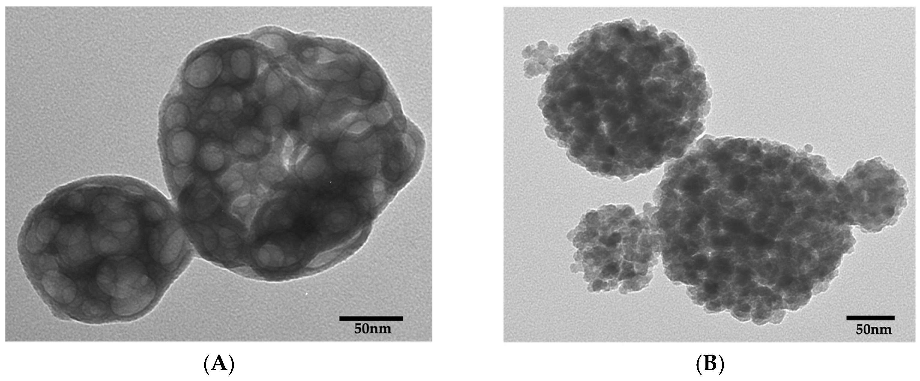 Polymers 18 00945 g001