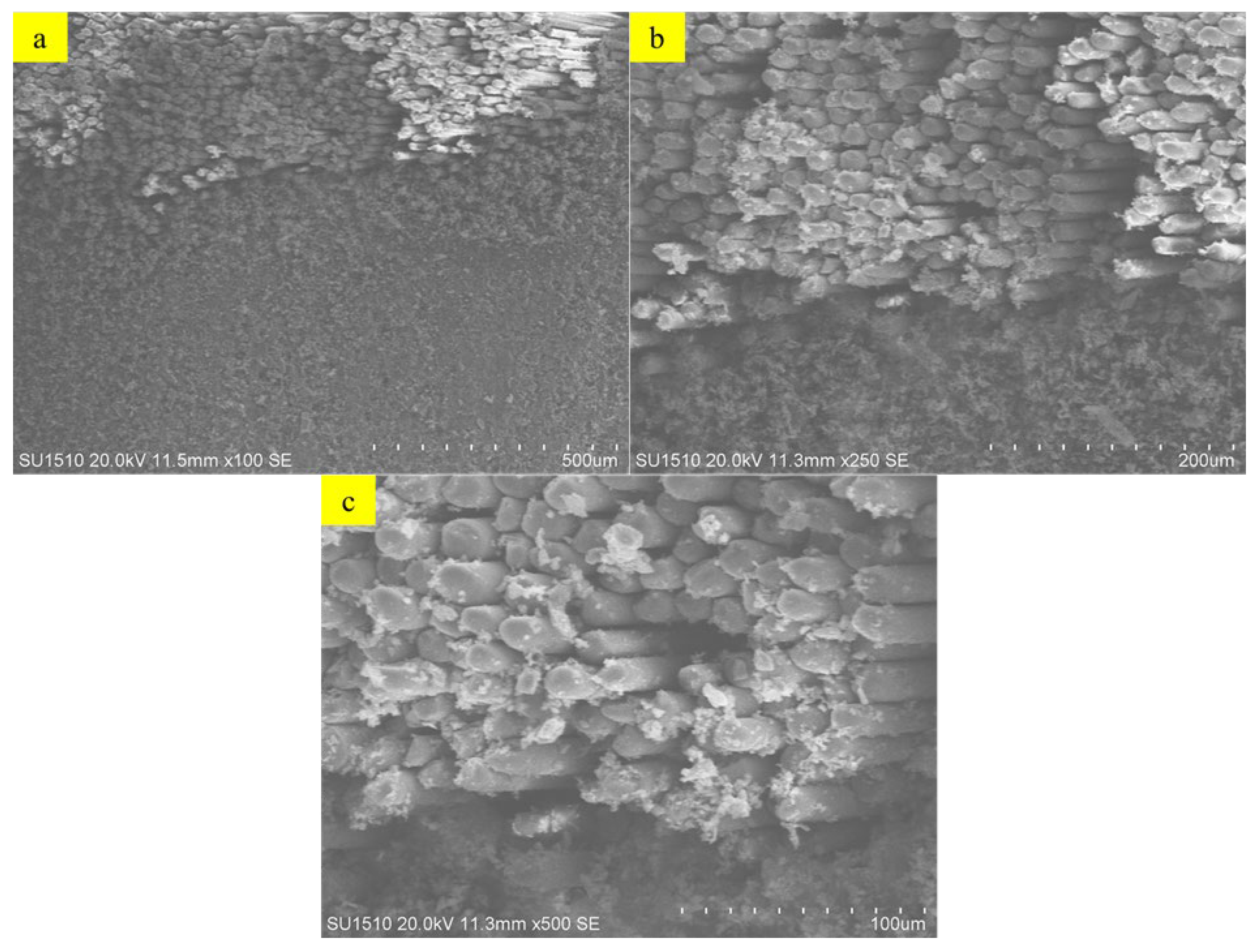 Polymers 18 01002 g013 Polymers 18 01002 g013