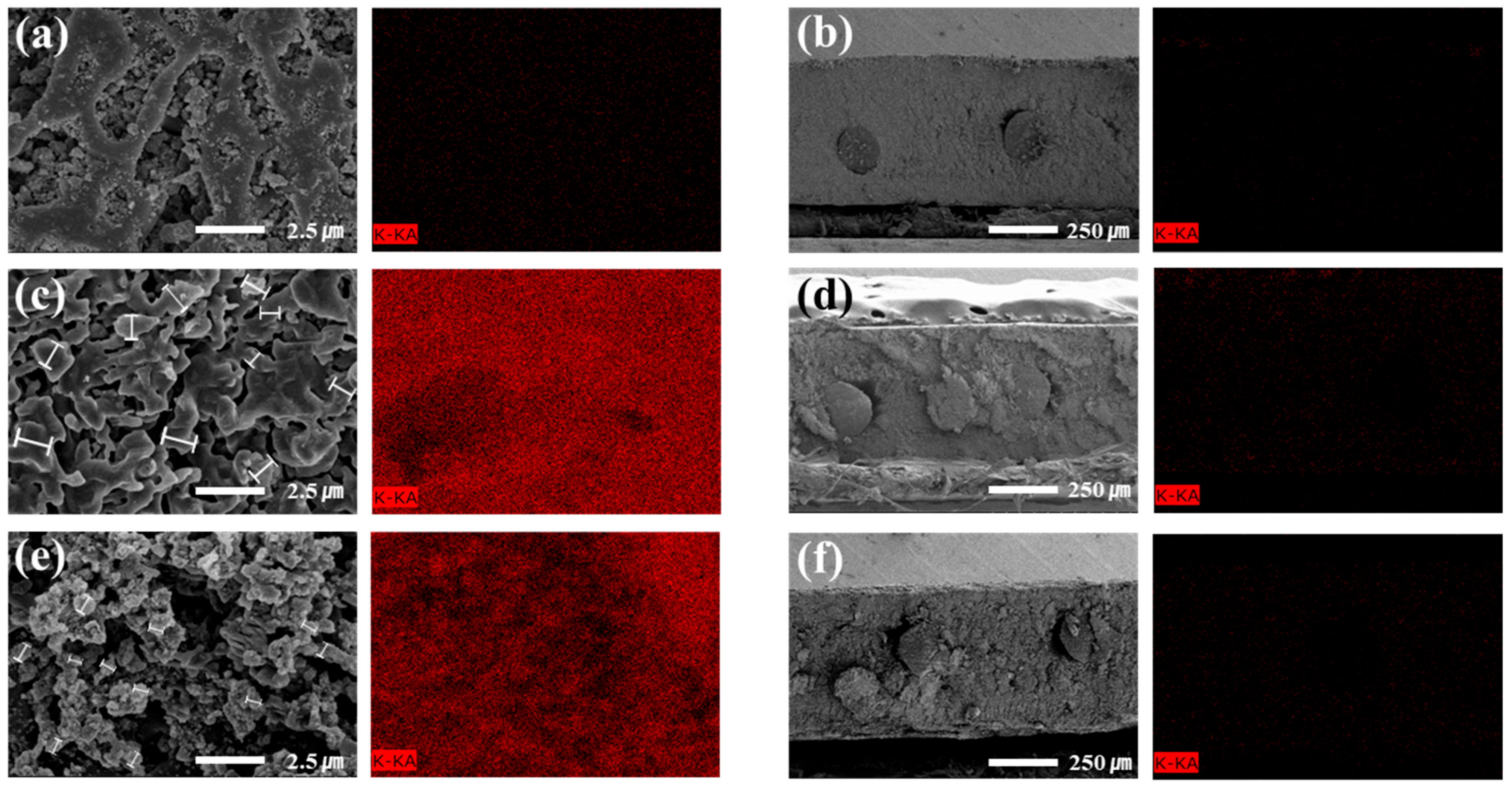 Polymers 18 01006 g006 Polymers 18 01006 g006