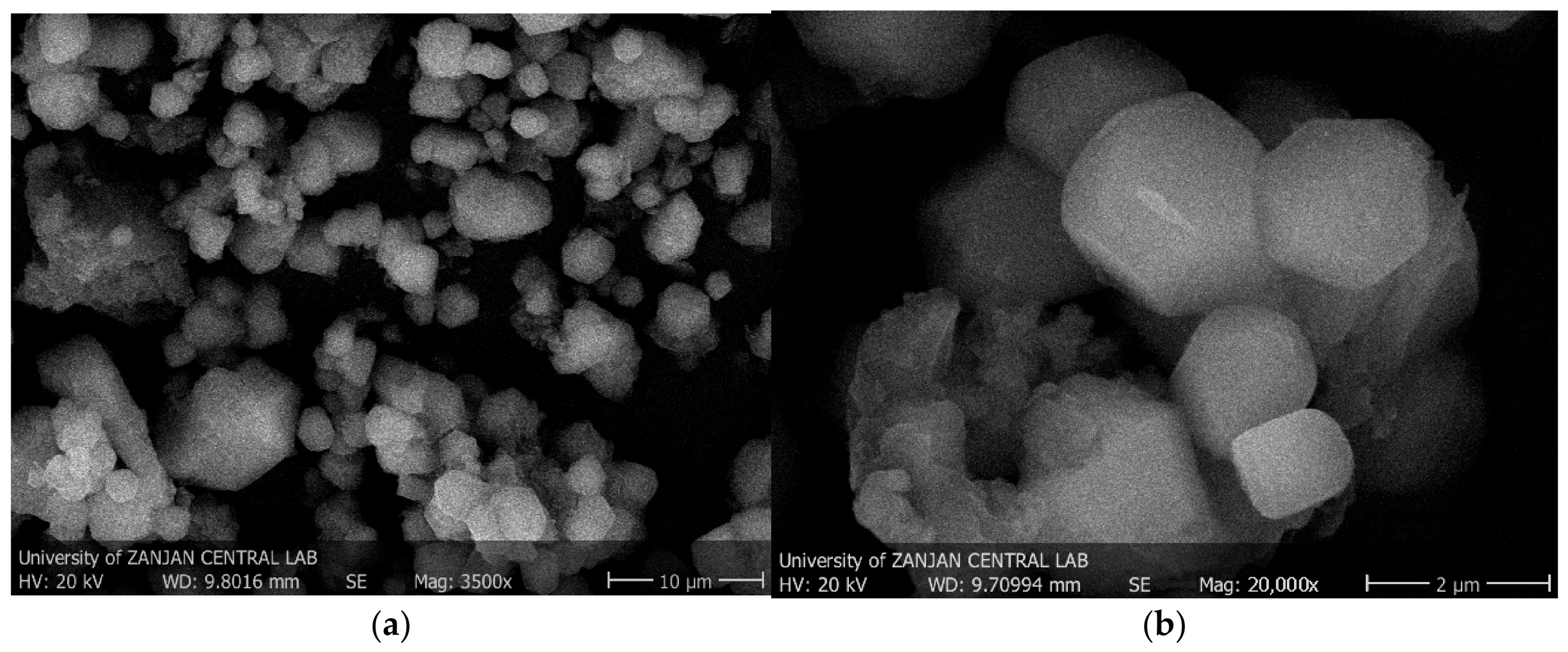 Polymers 18 01044 g010