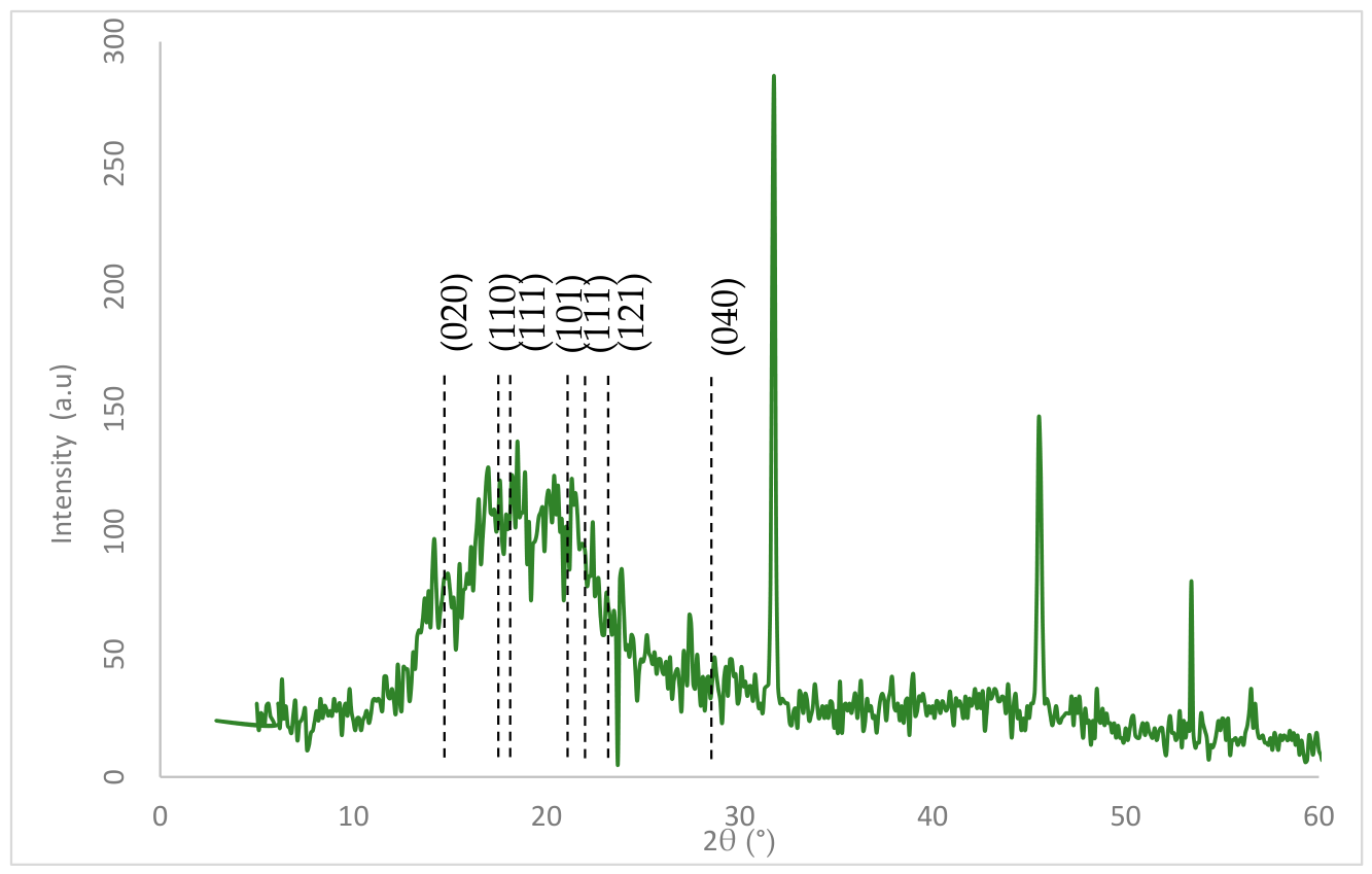 Polymers 18 01044 g011