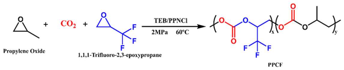 Polymers 18 01057 g001