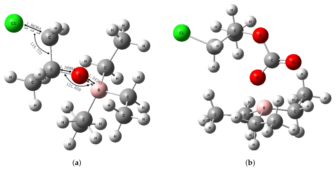 Polymers 18 01057 g019