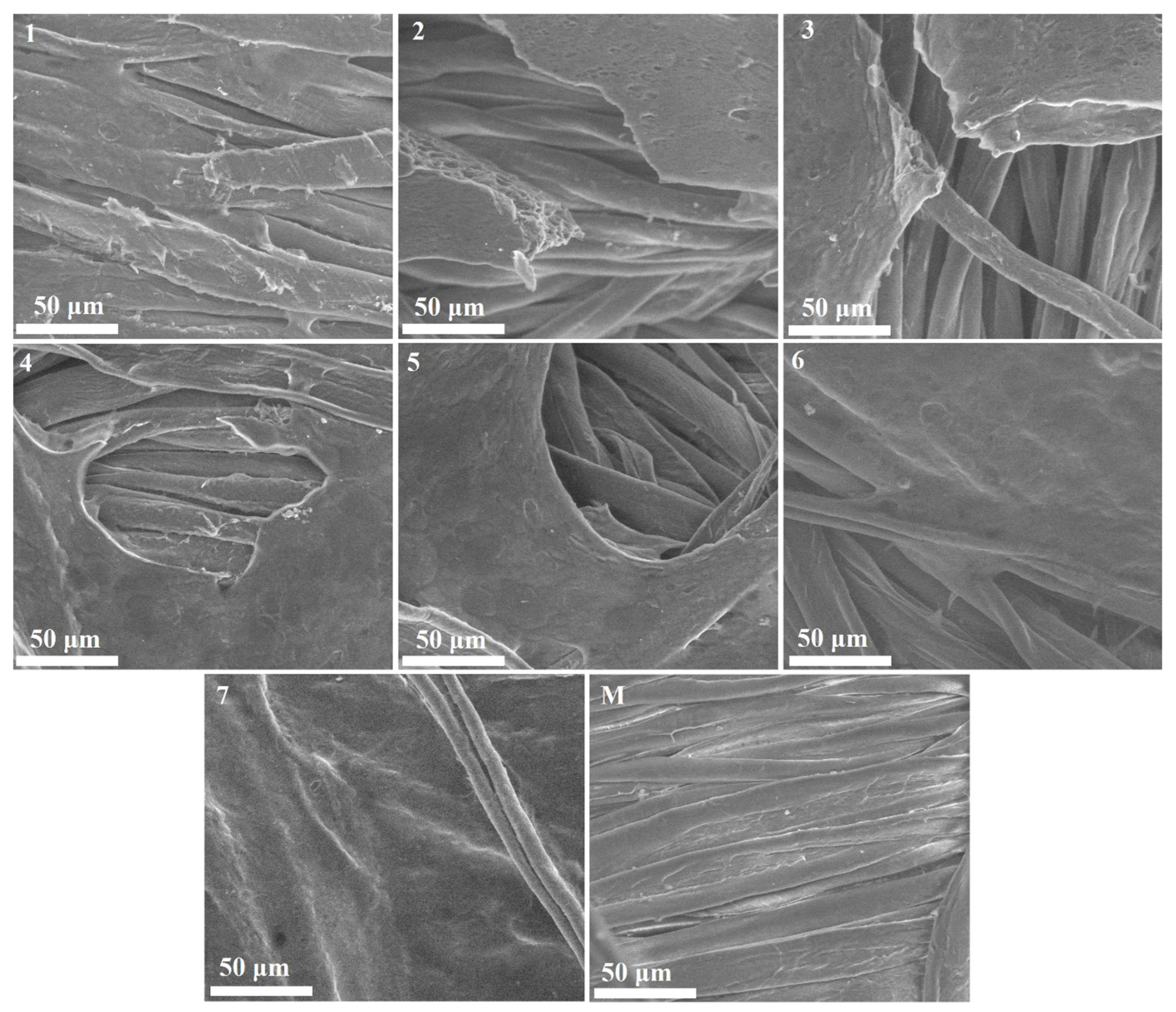 Polymers 18 01067 g005