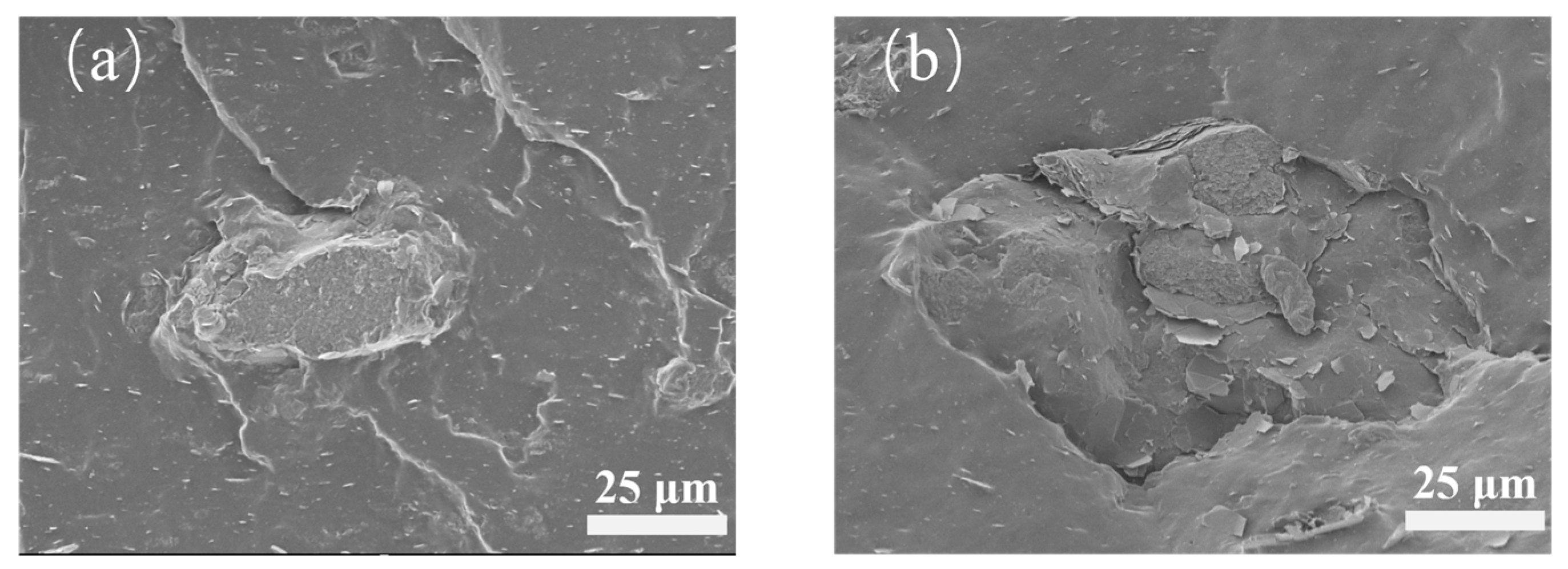 Polymers 18 01074 g005 Polymers 18 01074 g005