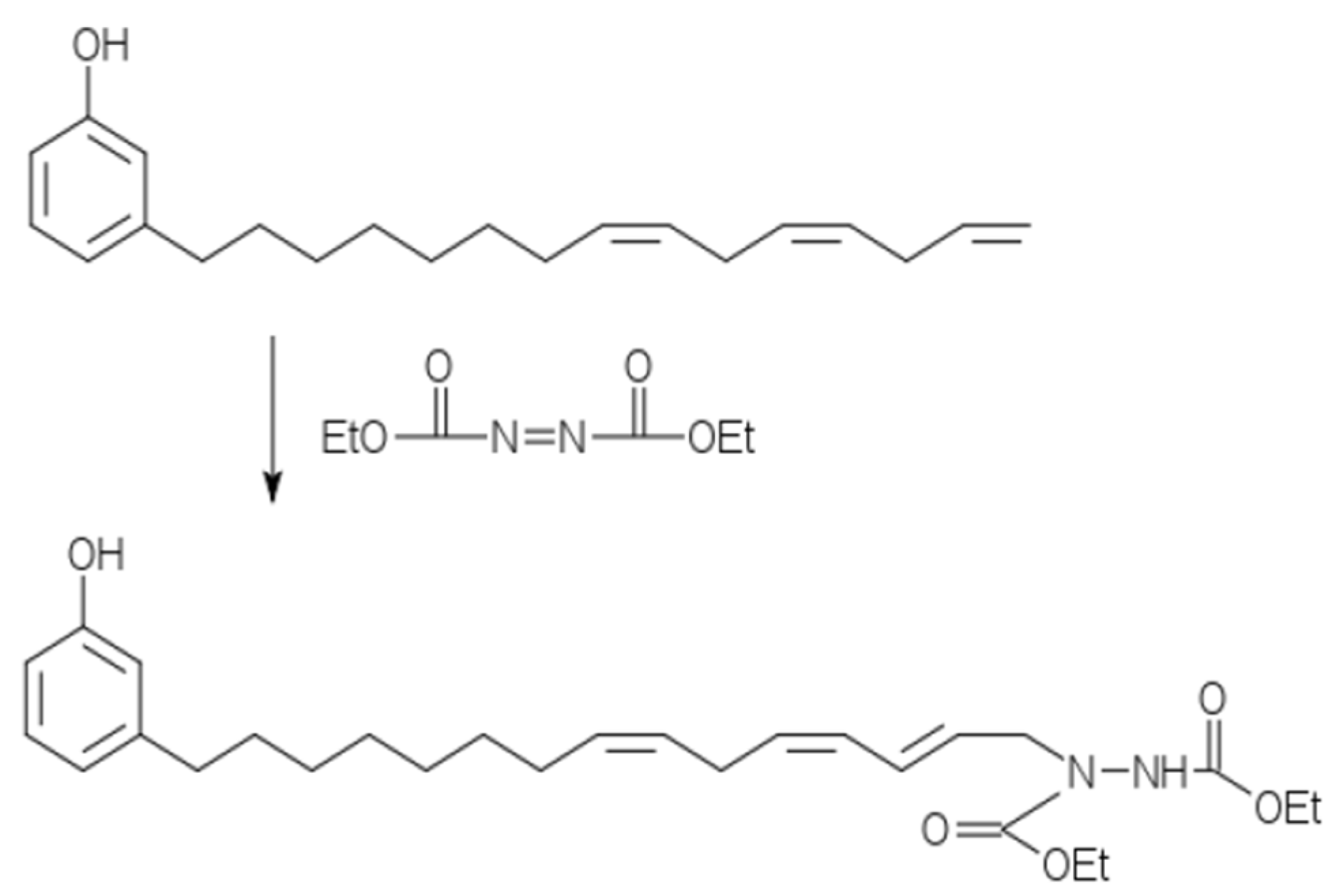 Polymers 18 01103 g002 Polymers 18 01103 g002
