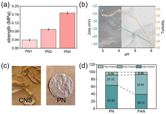 Supramolecular Assembly of Plant Cell Wall-Derived Cellulose