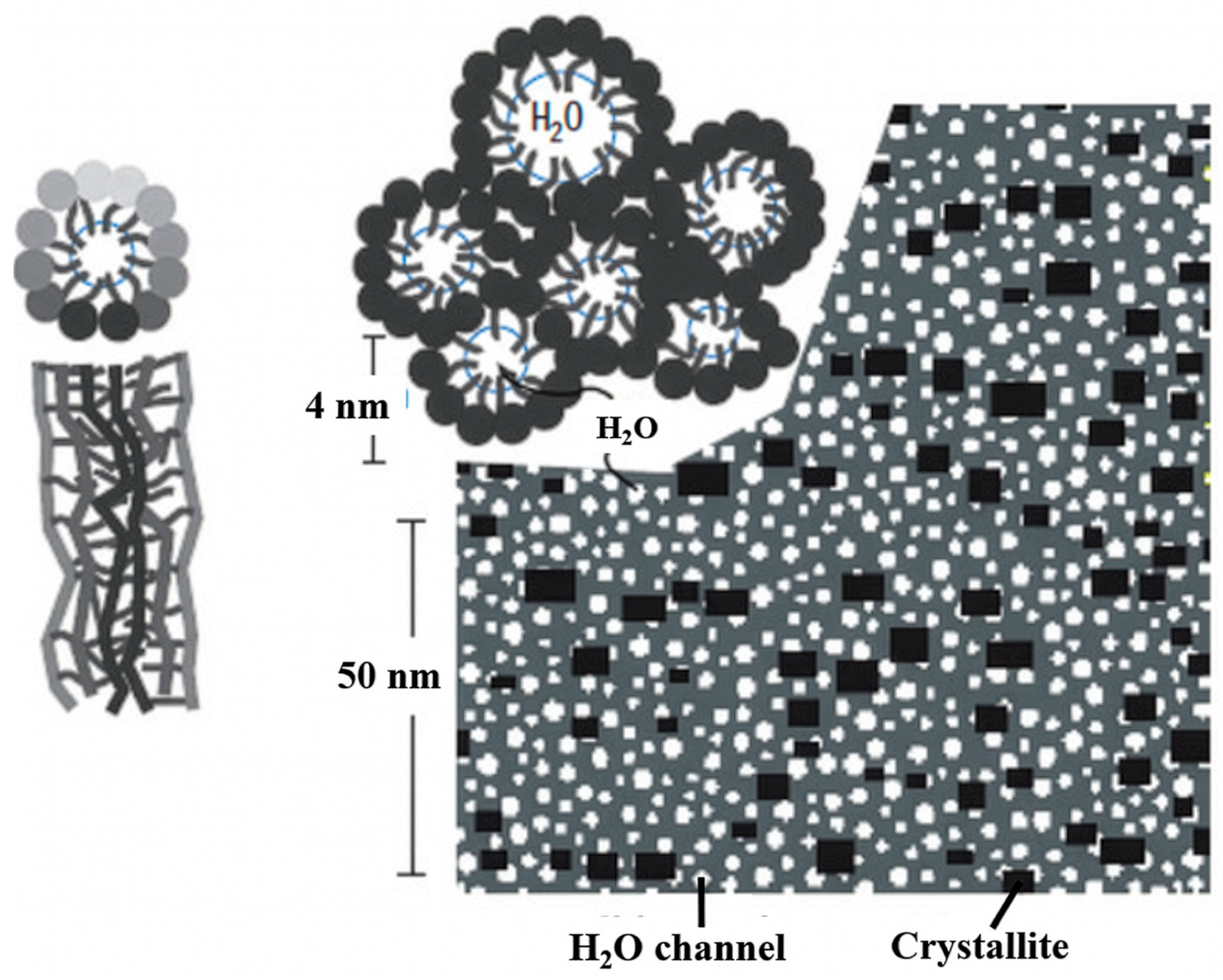 Polymers 18 01204 g002