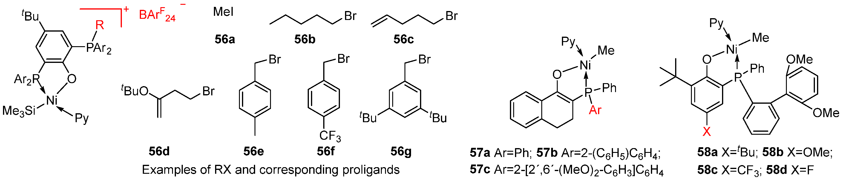 Polymers 18 01243 sch025 Polymers 18 01243 sch025