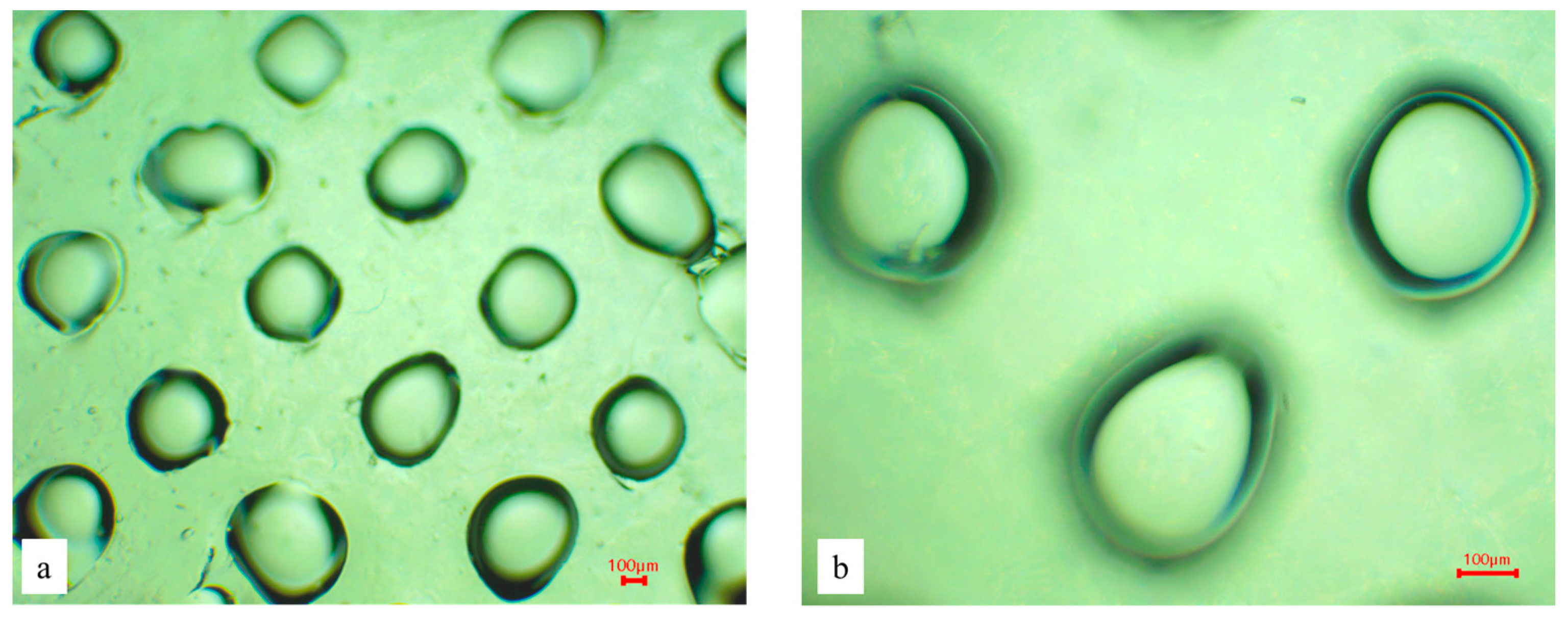 Polymers 18 01255 g007
