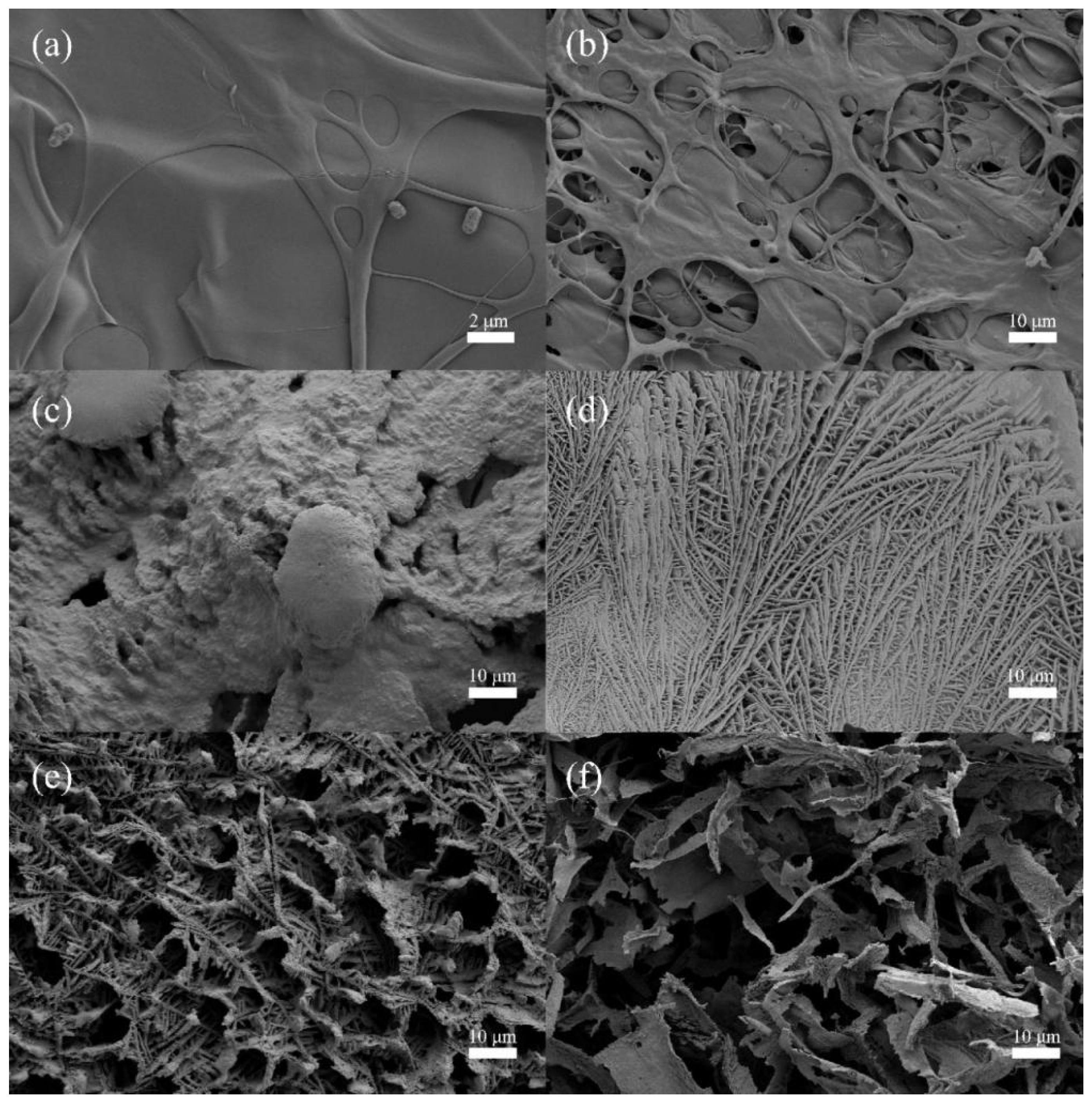 Polymers 18 01268 g008