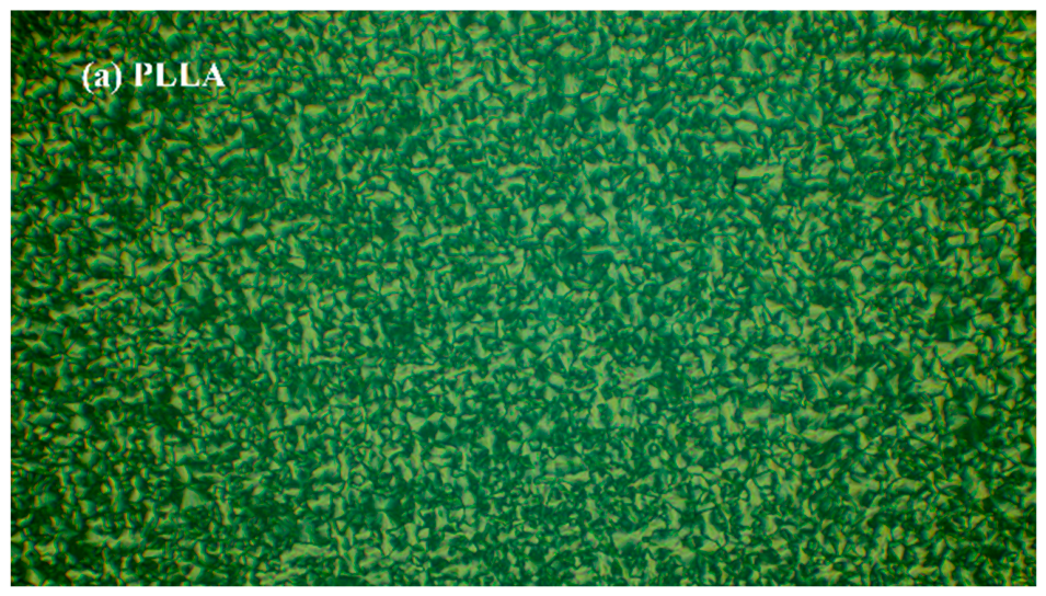 Polymers 18 01285 g005a